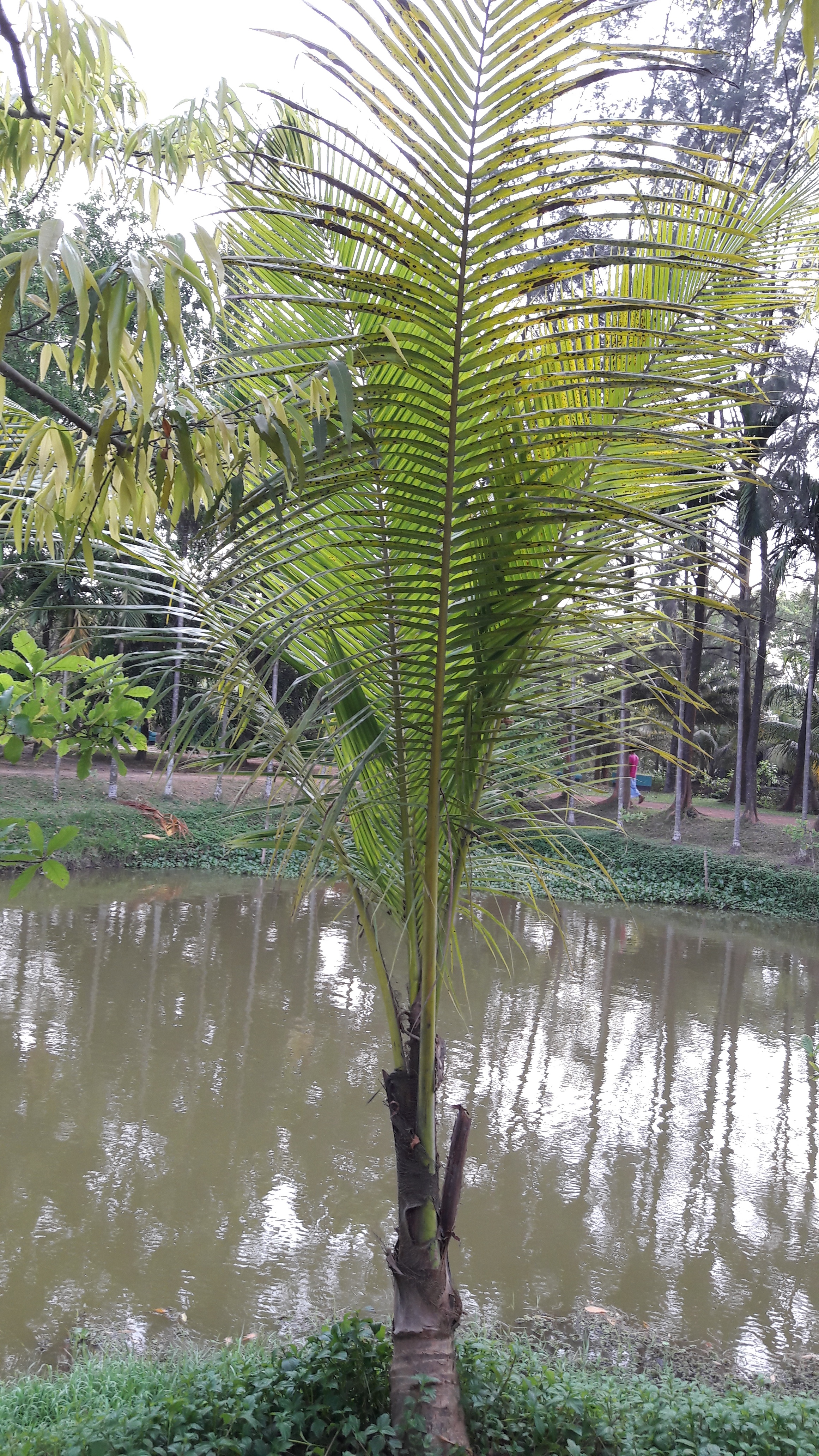 20170401_164503.jpg