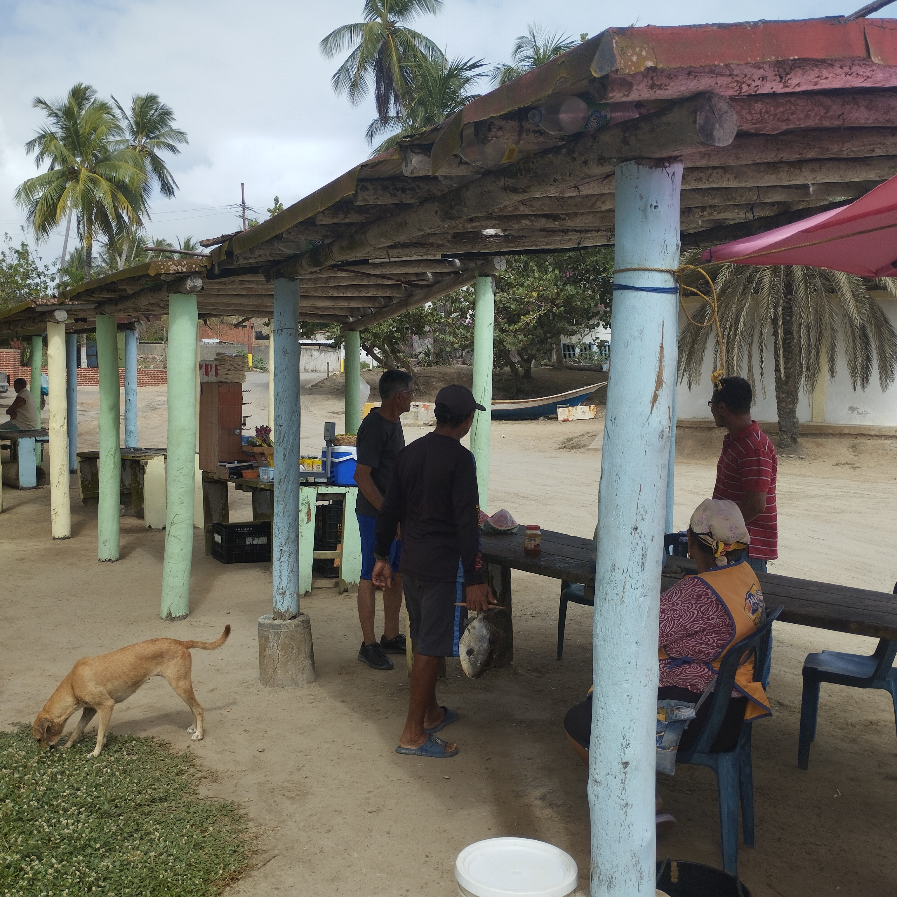 IMG_20260529_092904.jpg