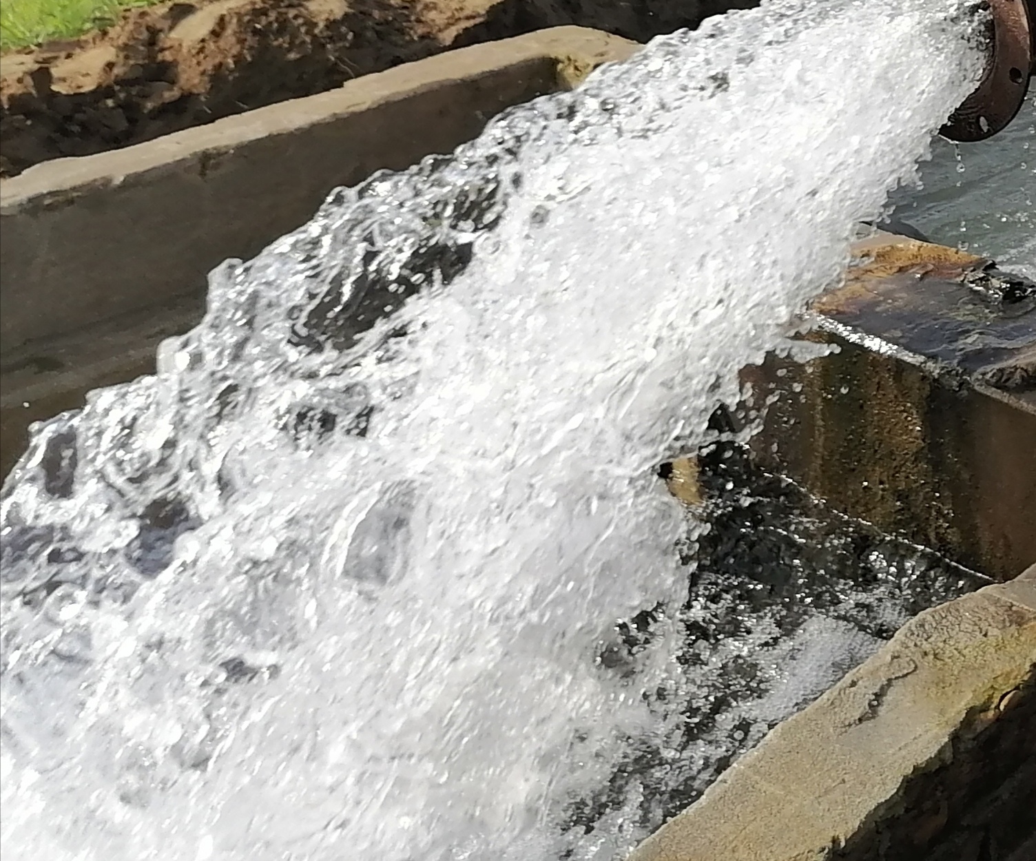 IMG_20210206_155726.jpg