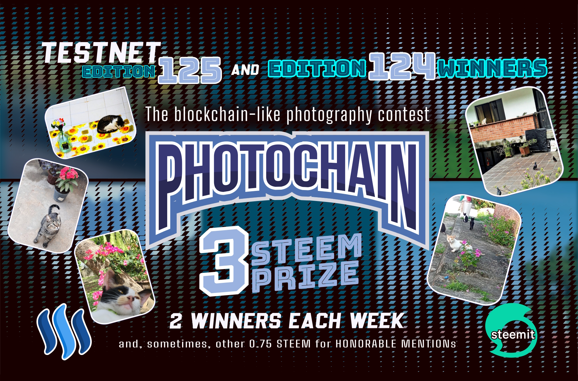photochain testnet edition steem cover.jpg