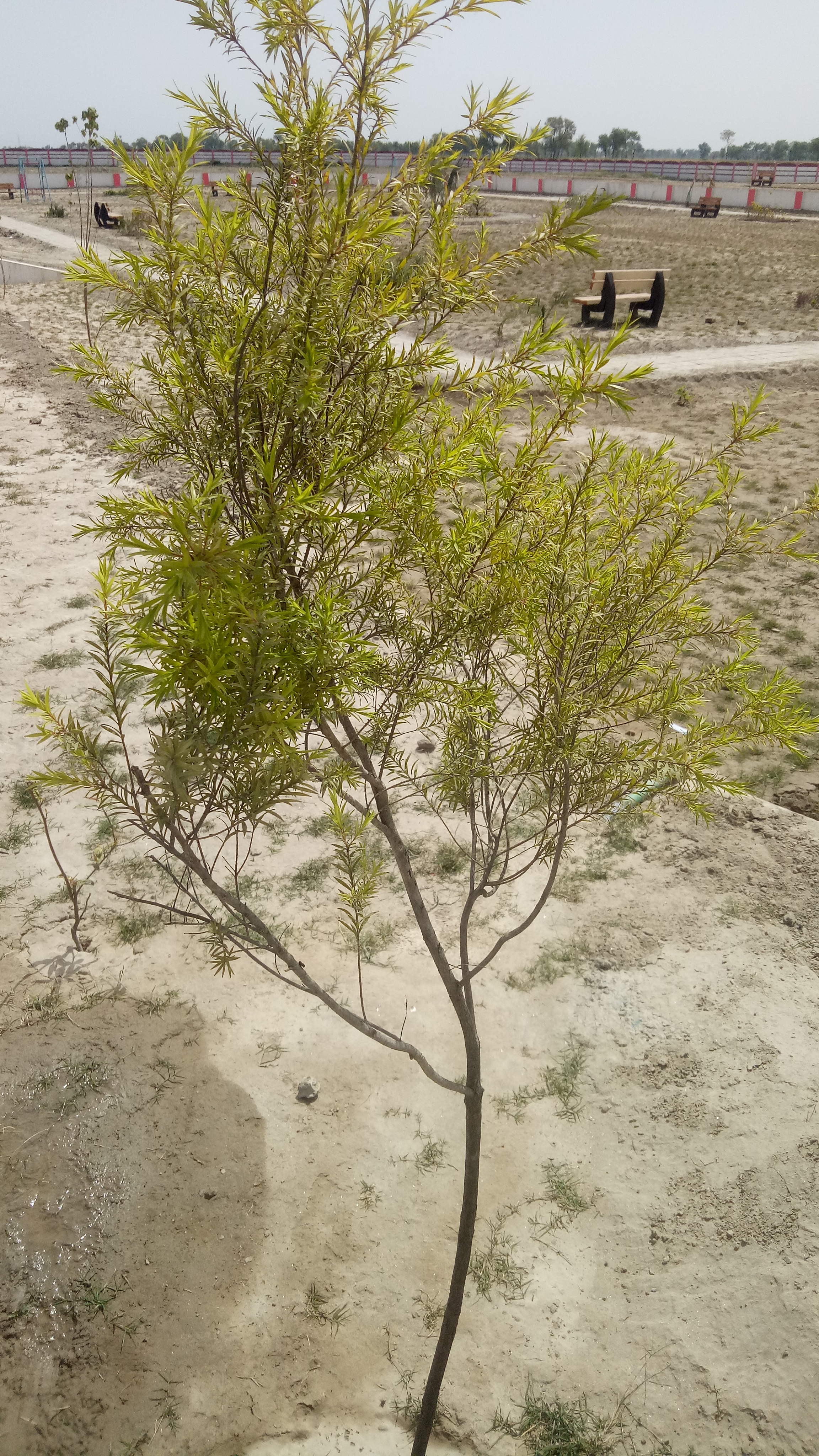 IMG20210404110345.jpg