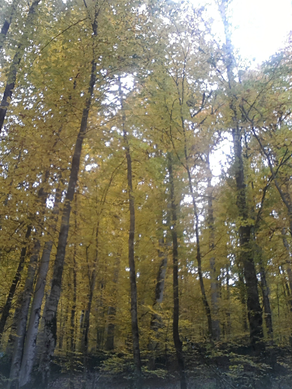 20161028_155552.jpg