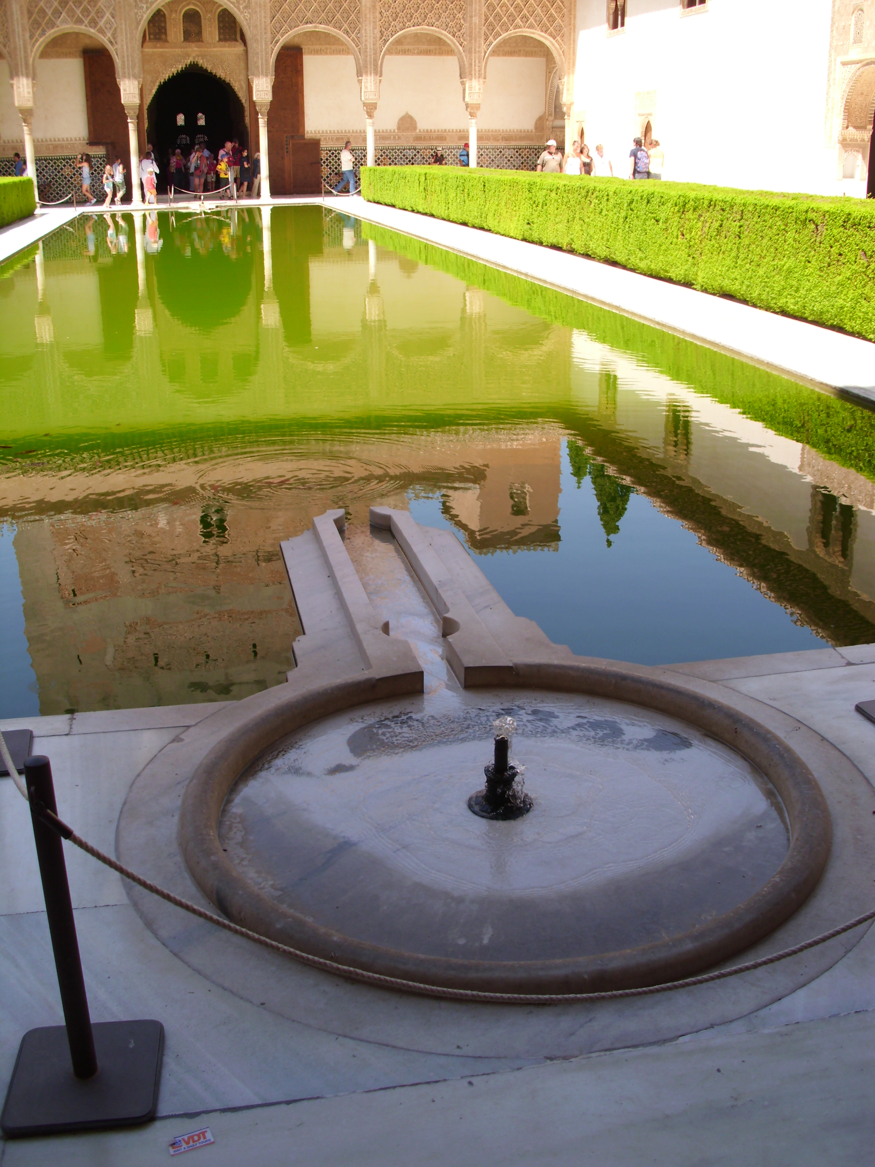 DSCI0345.JPG