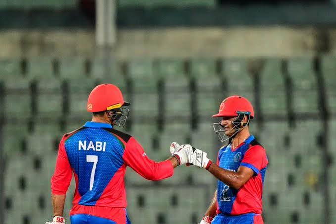 images (99).jpeg