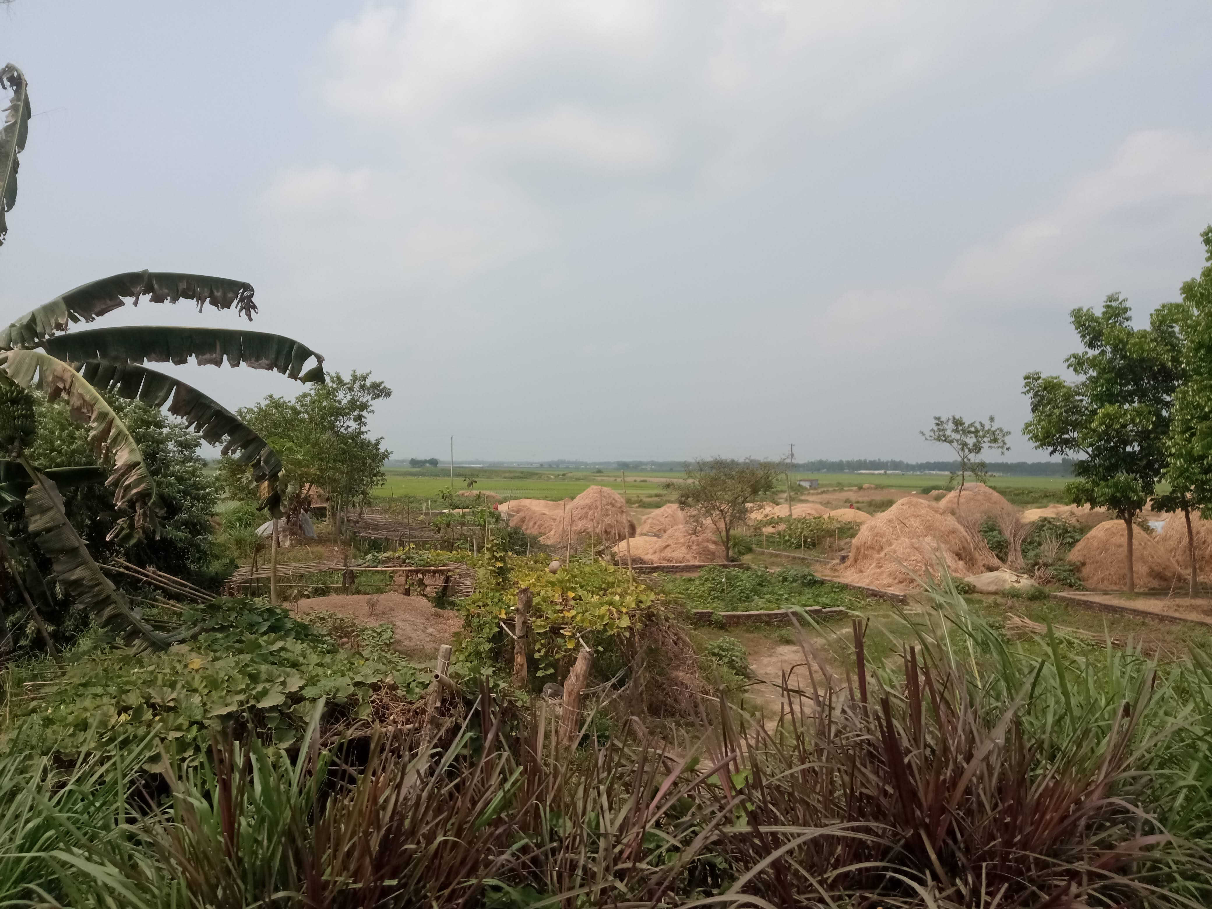 নেচার (1).jpg
