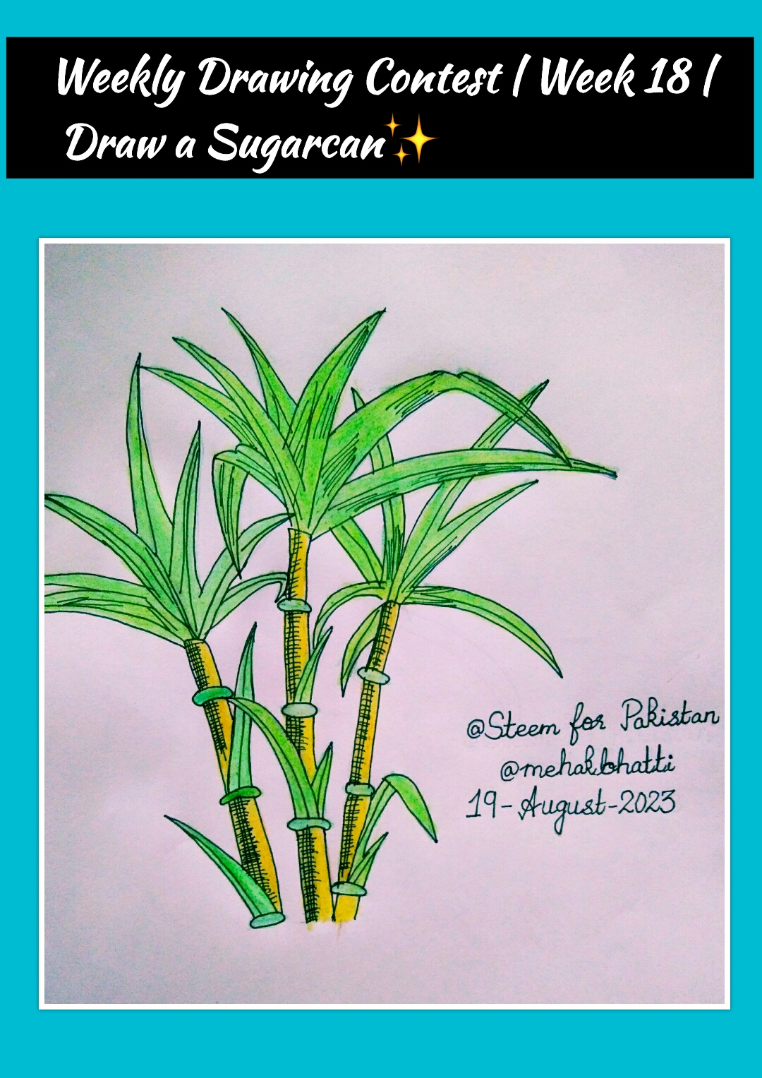 how to draw sugarcane #easy way to draw sugarcane step by step - YouTube