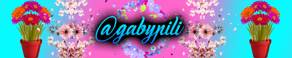 firma-@gabypili-steemit.jpg