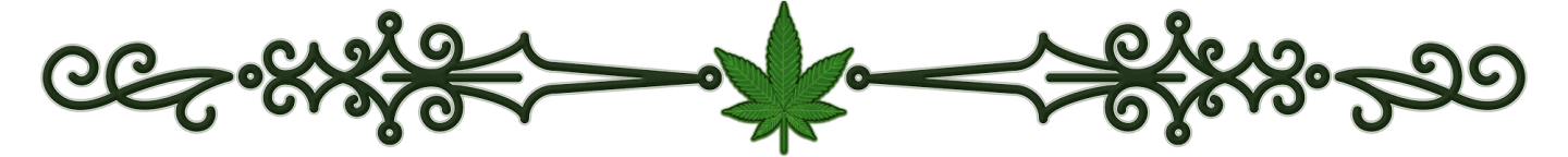CS_GREEN_CANNA-CURATE_DIVIDER_TRANSPARENT.png