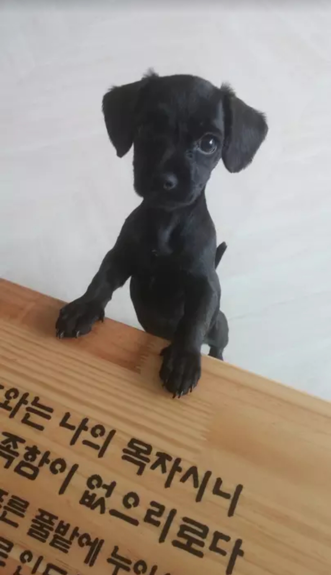 oreo0510