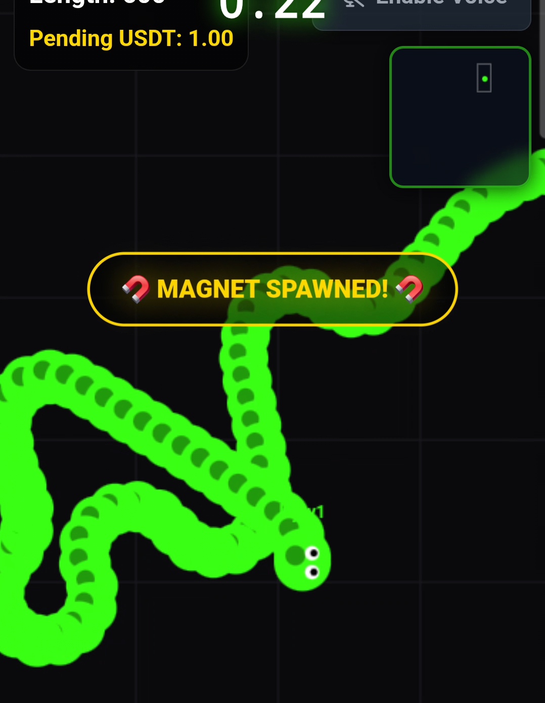 1000317455.jpg