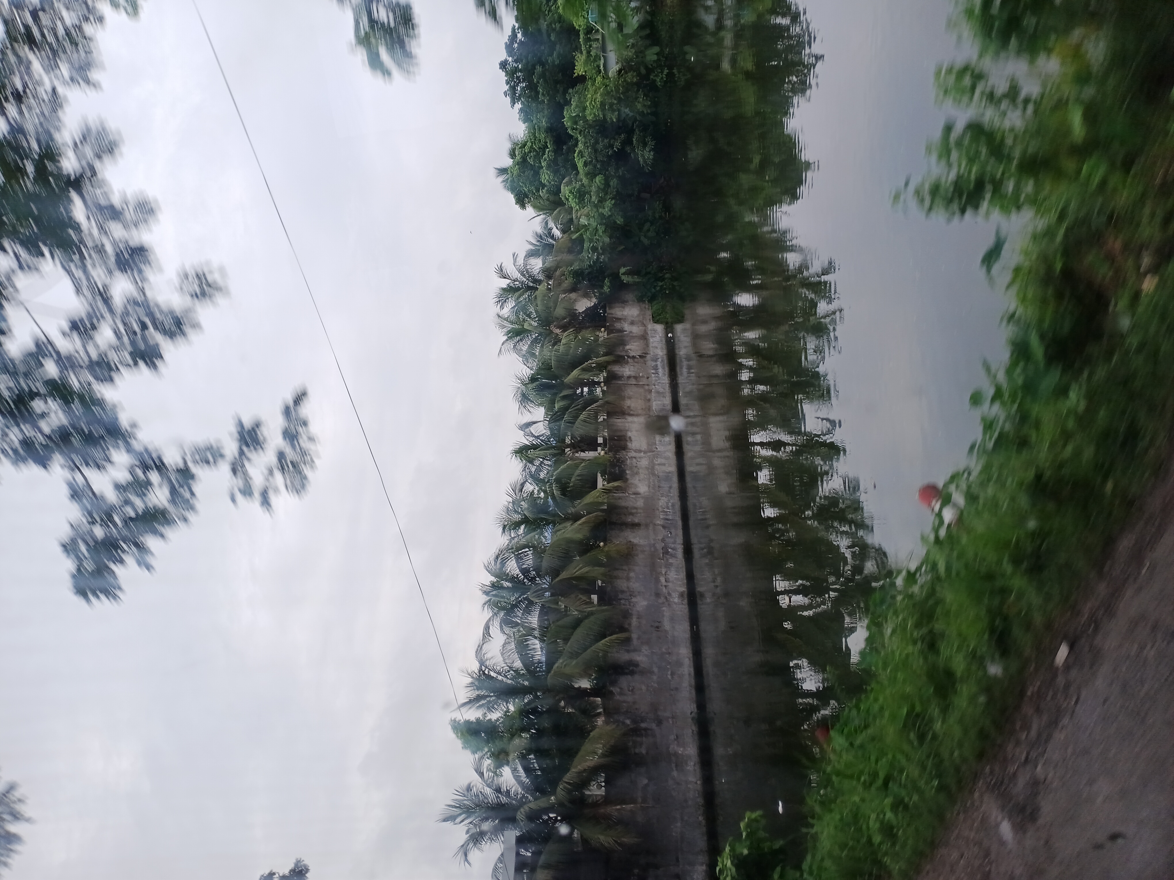 48260.jpg