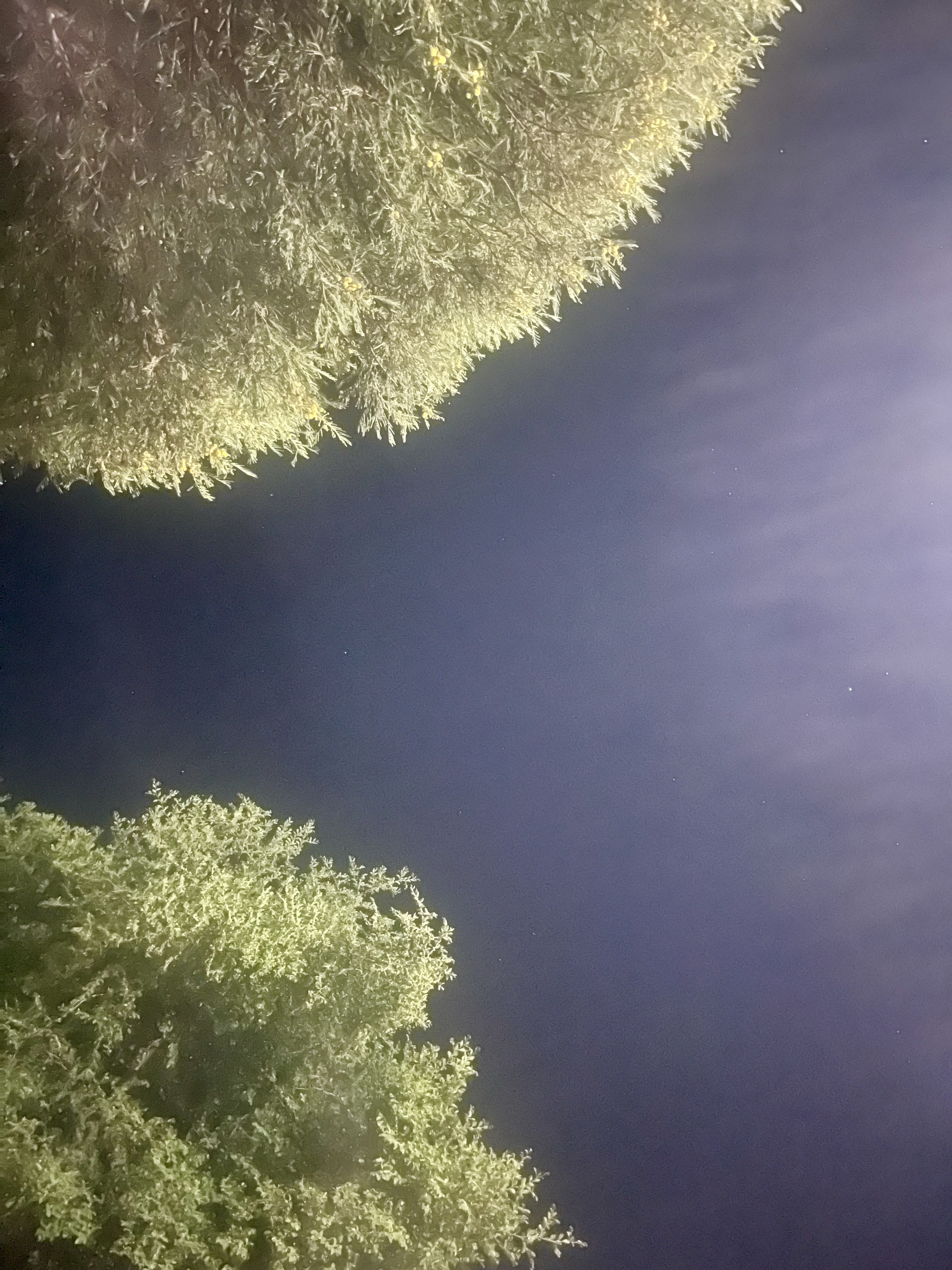 IMG_8855.jpeg