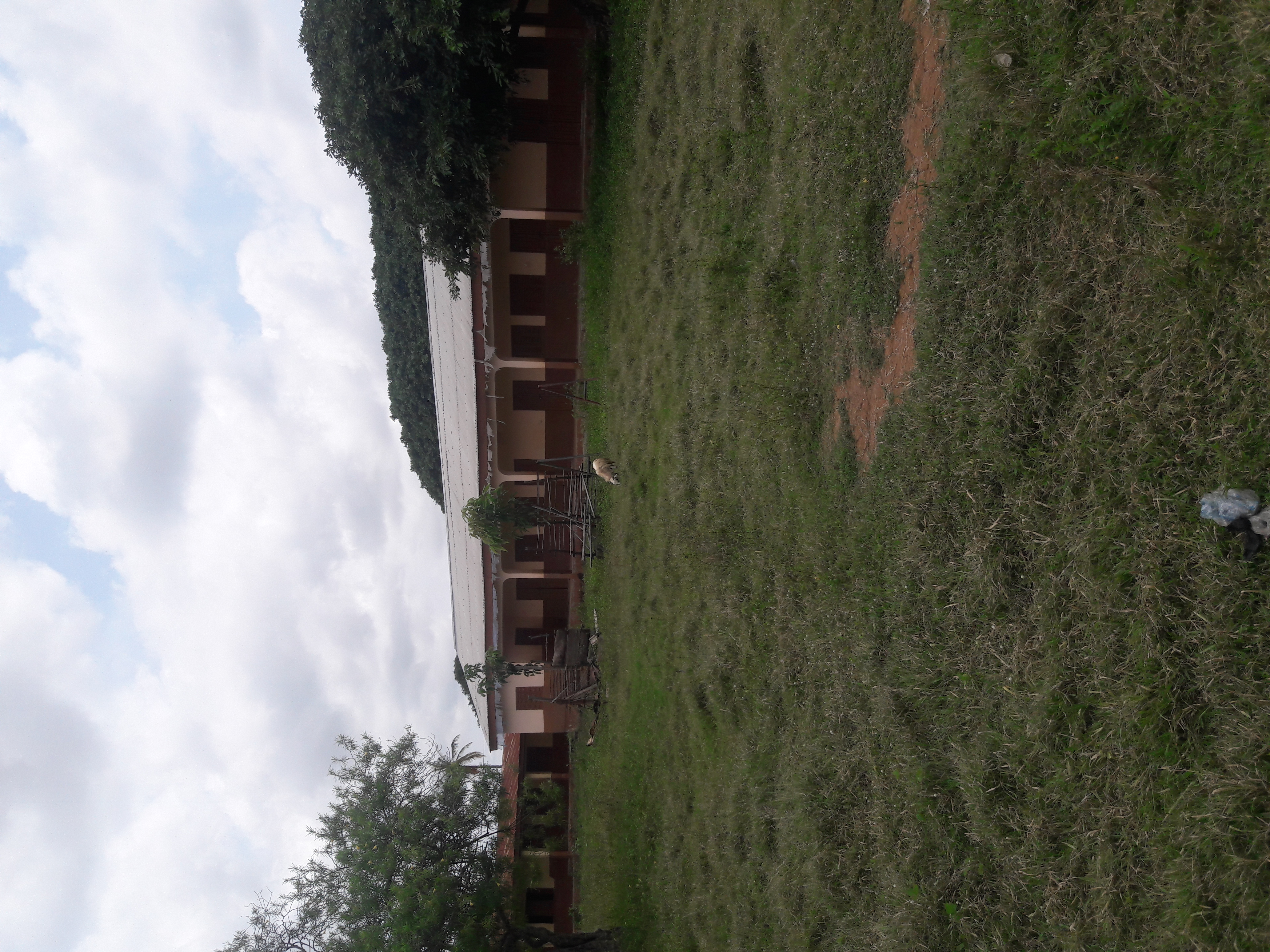 20200924_114317.jpg