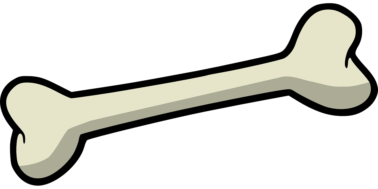 bone-157272_1280.png