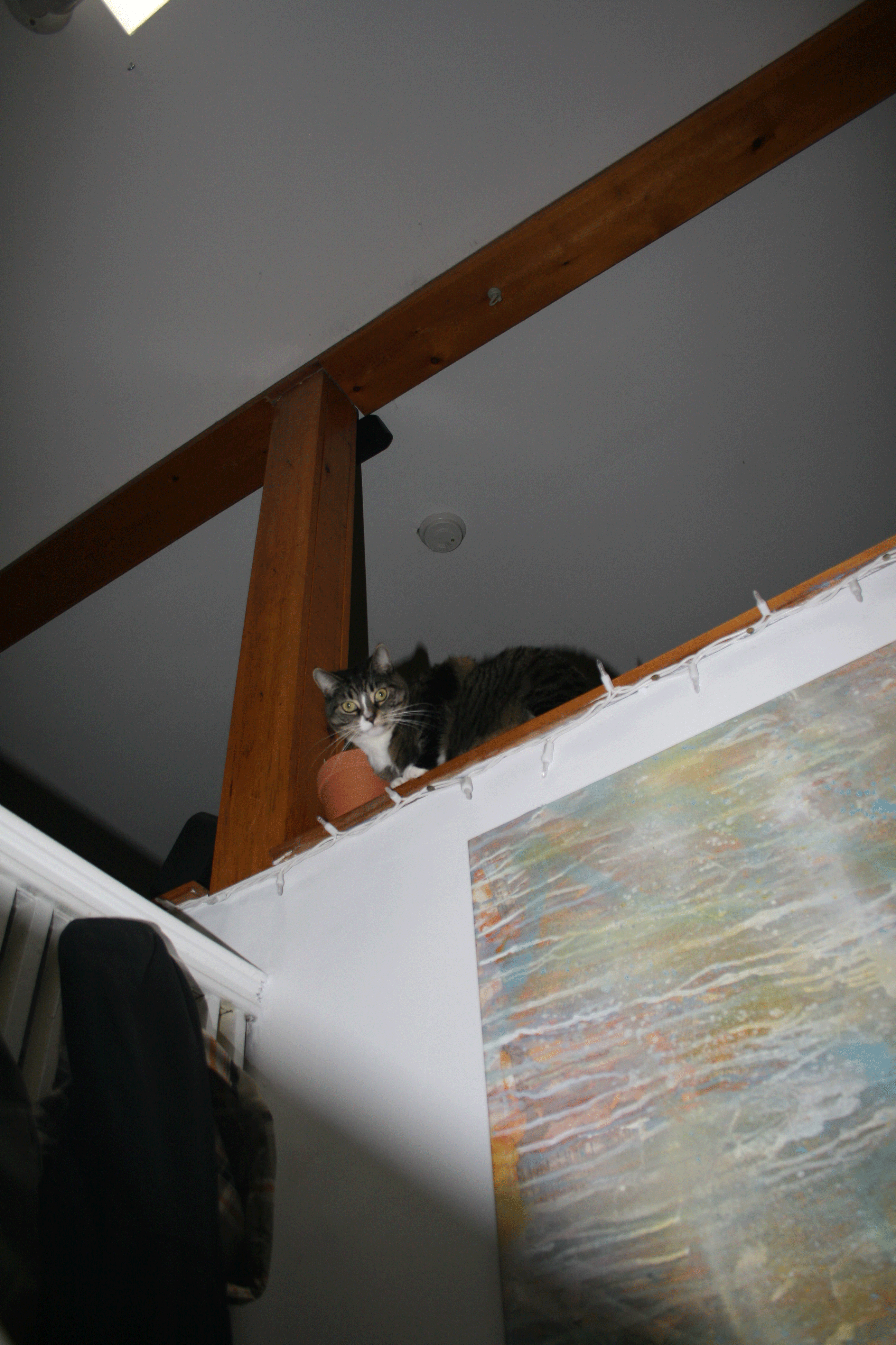 IMG_3700.gif