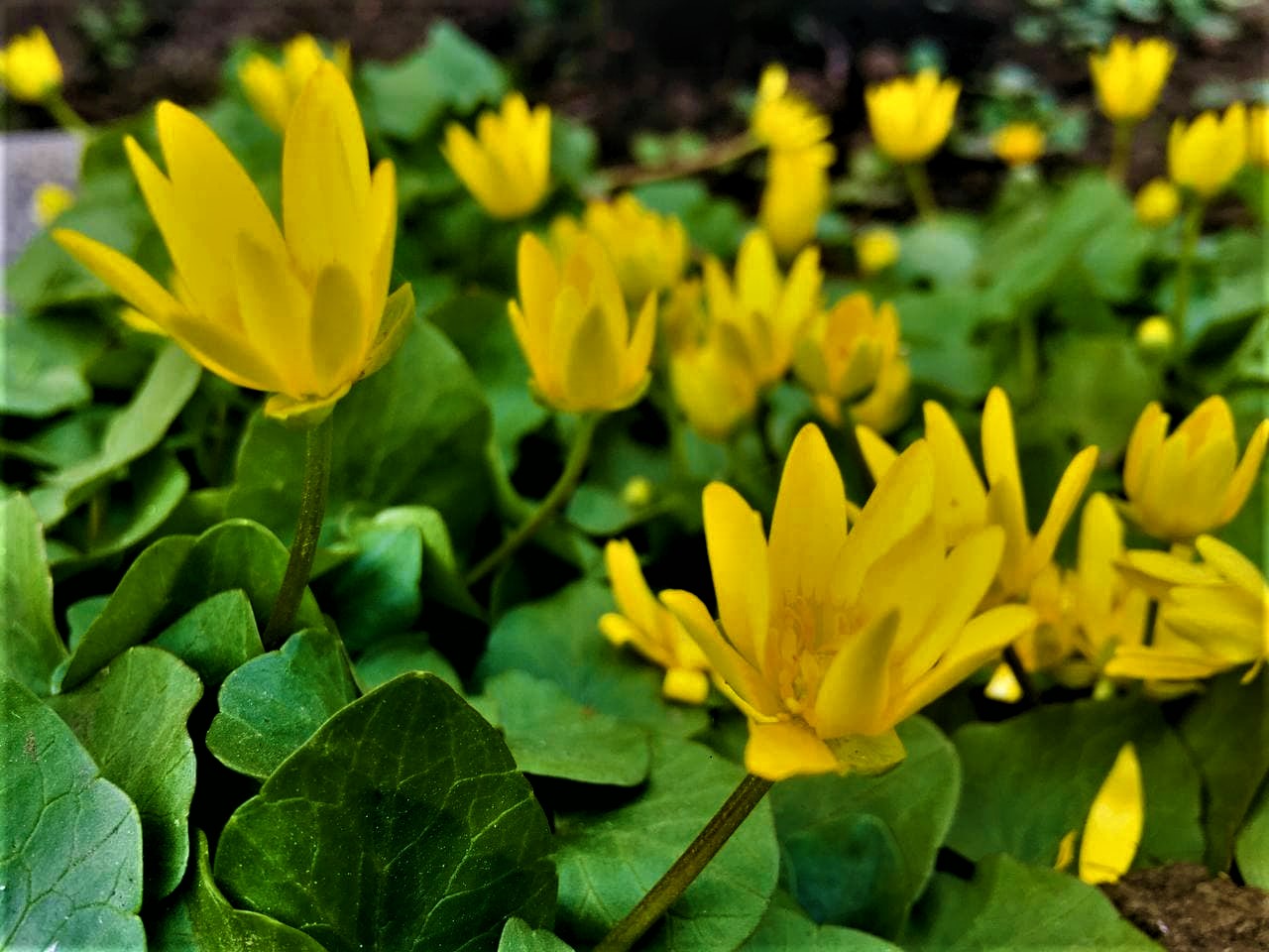 photo_2021-04-13_16-49-46 (2).jpg