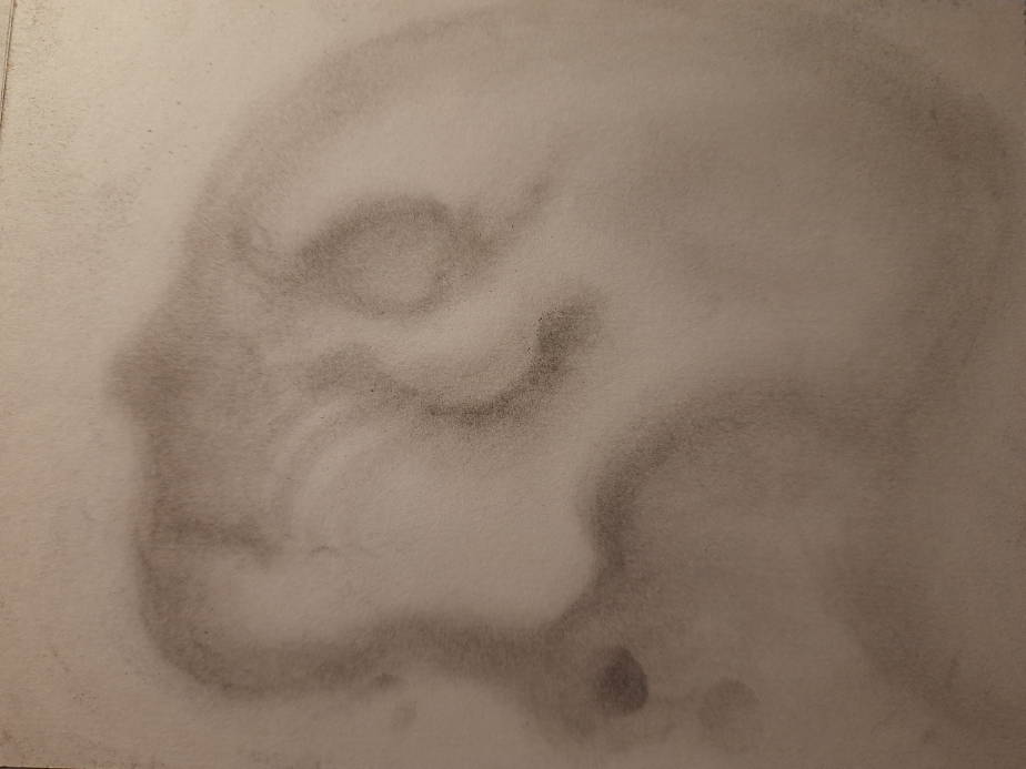 20260711_102633.jpg