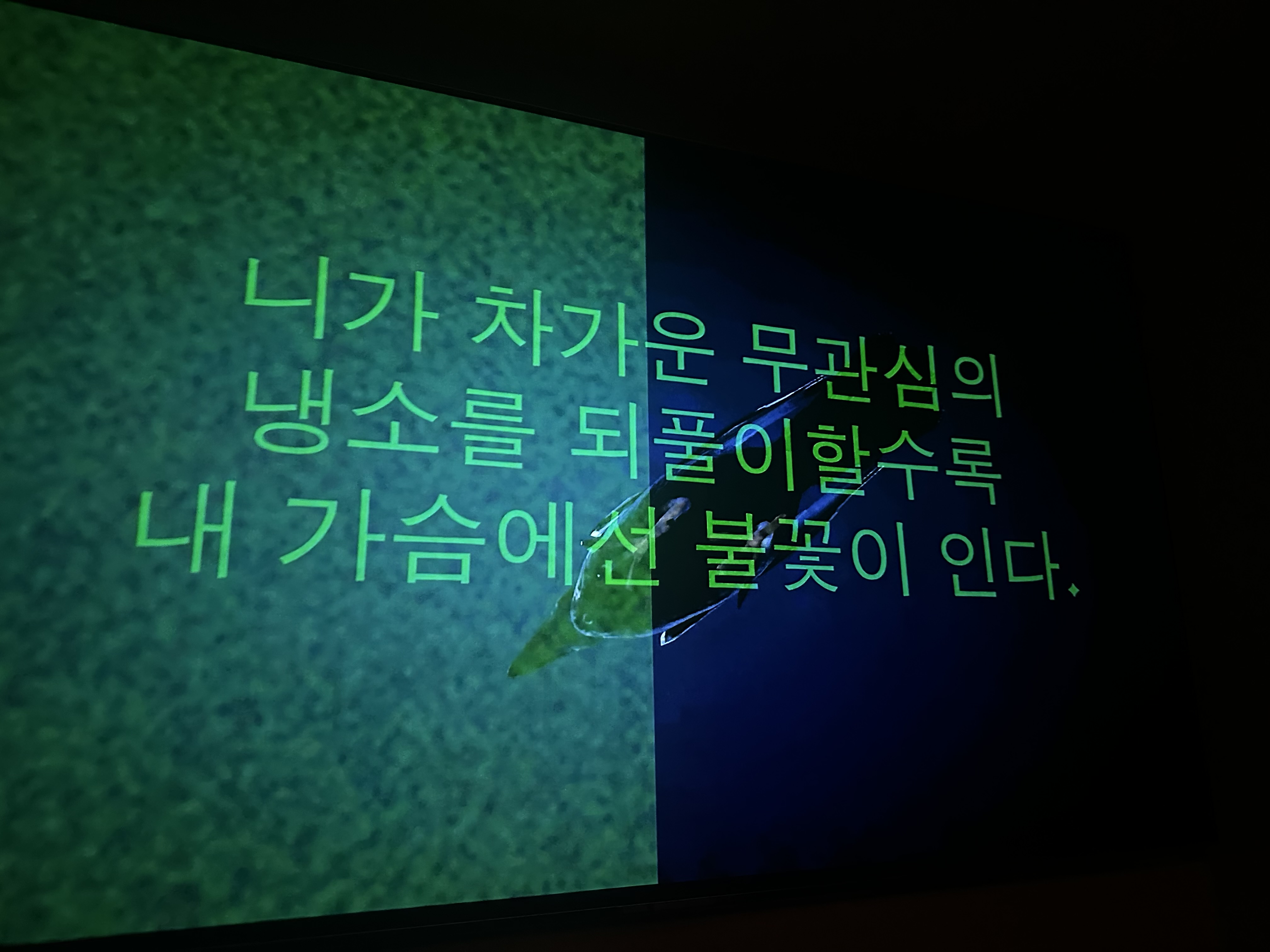 IMG_2737.jpeg