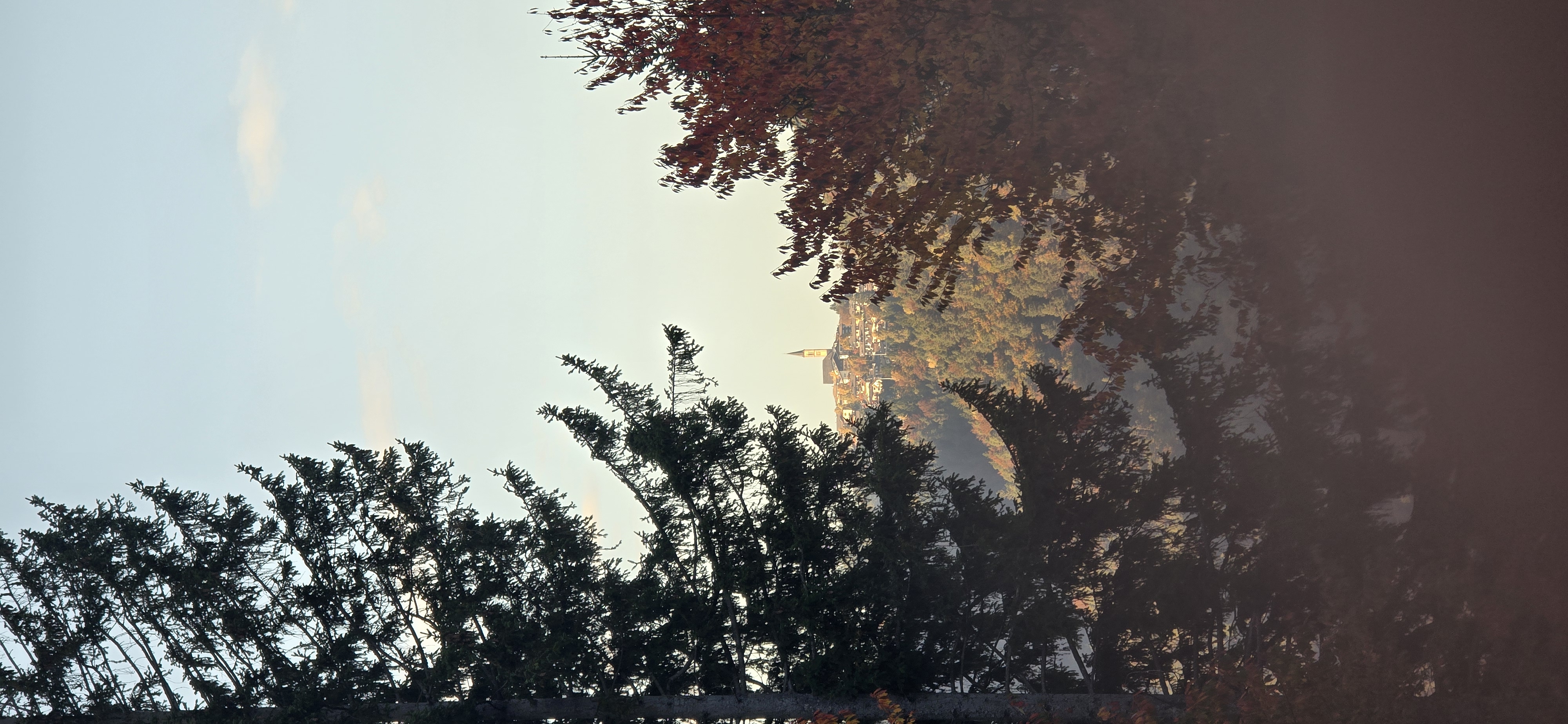 20251014_171902.jpg