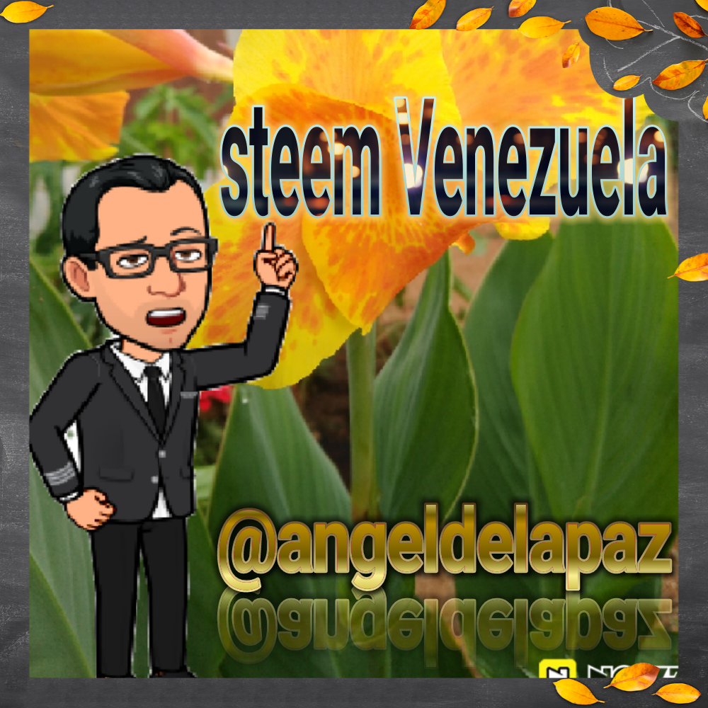 photostudio_1631220526721.png