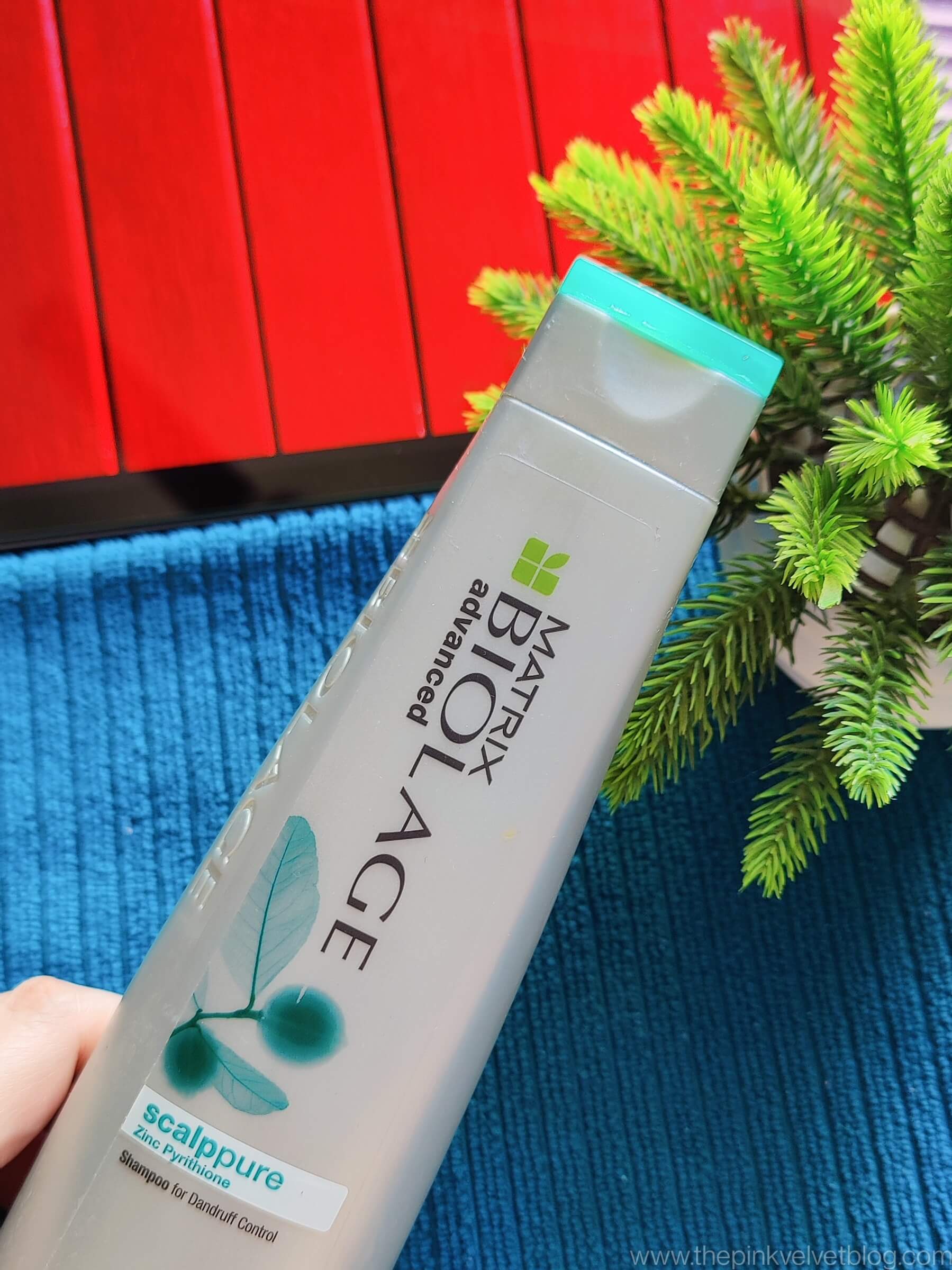 Matrix Biolage Advanced Scalppure Shampoo Anti-Dandruff Review.jpg