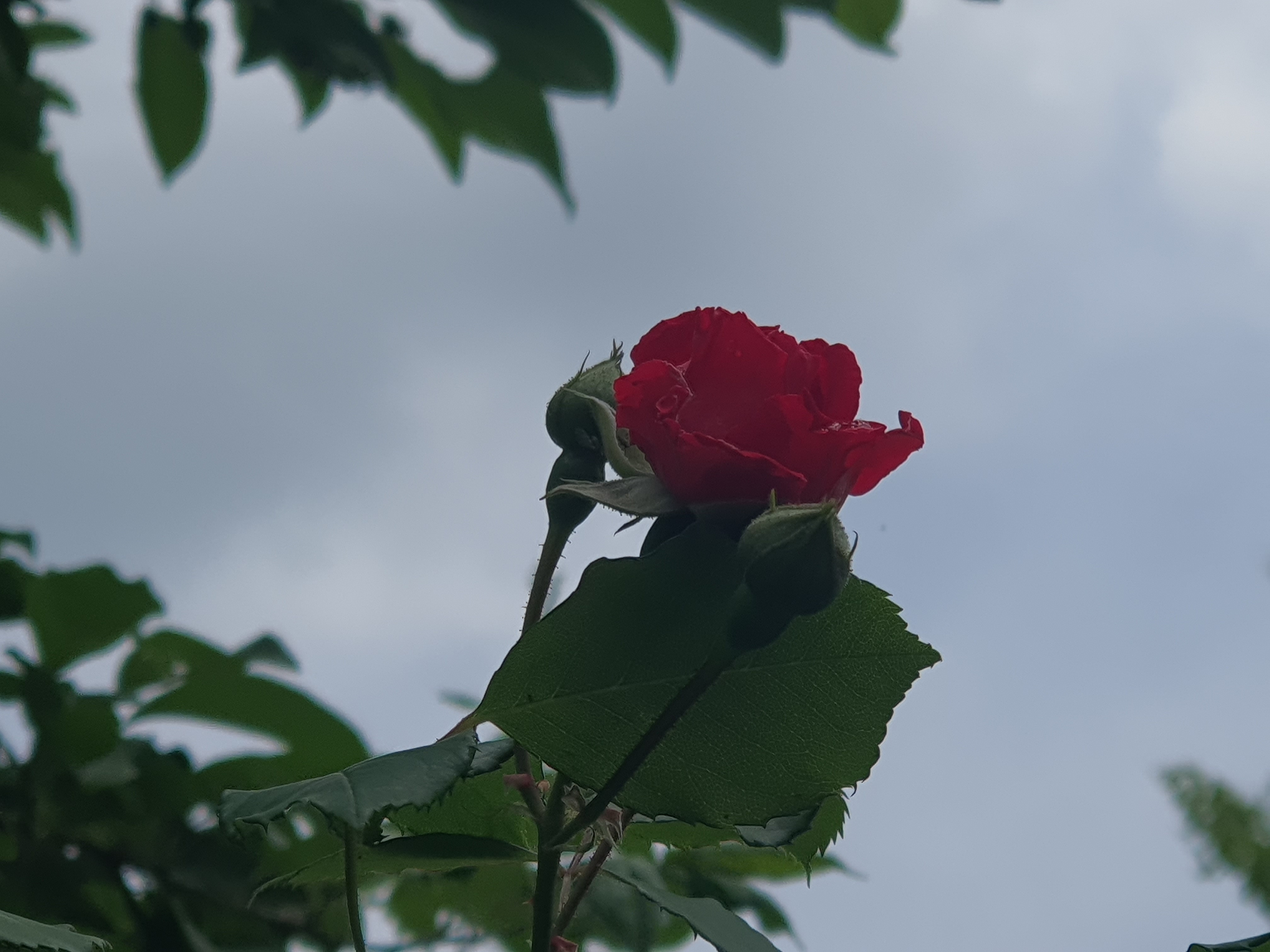 20260512_132350.jpg