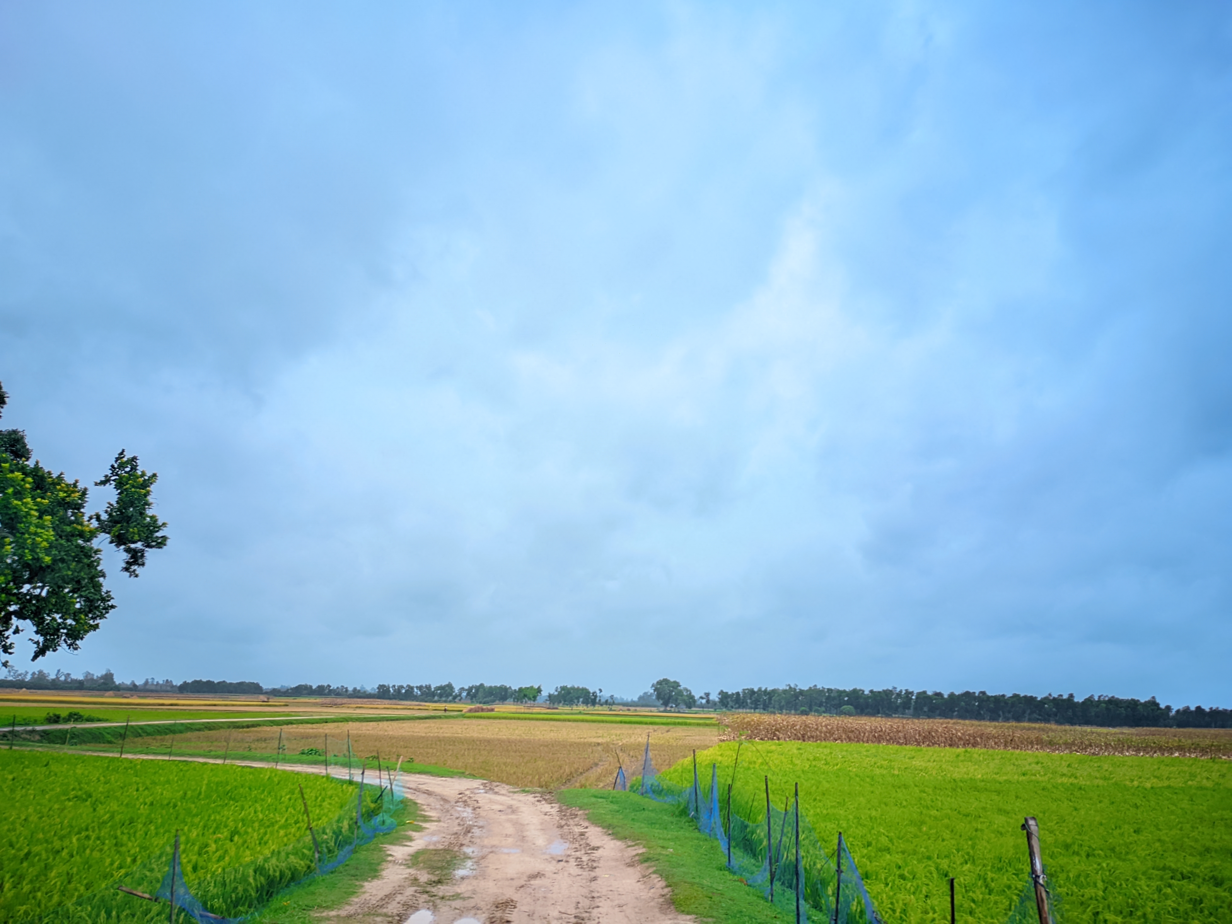 RIYAN_20240527_154349_🌈Sky Blue by Expert Mistry-2.jpg