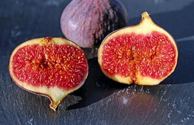 figs-1620590_640.jpg.webp