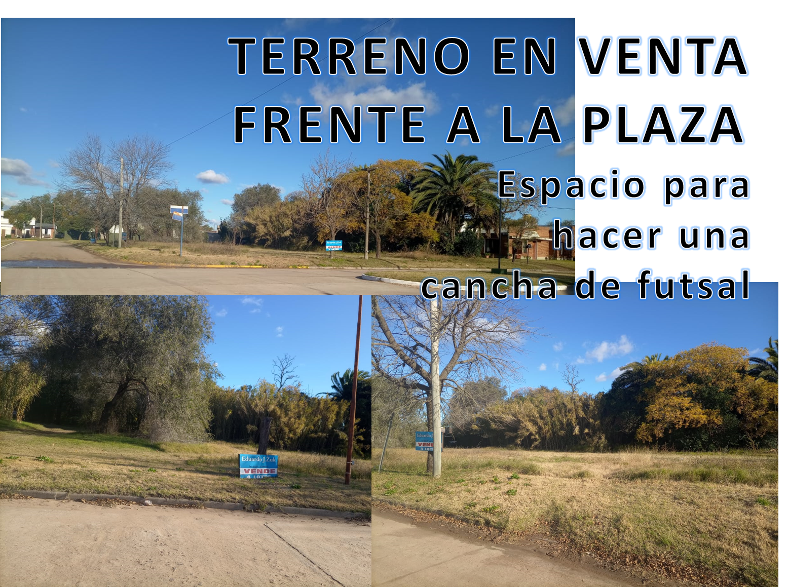 terreno.png