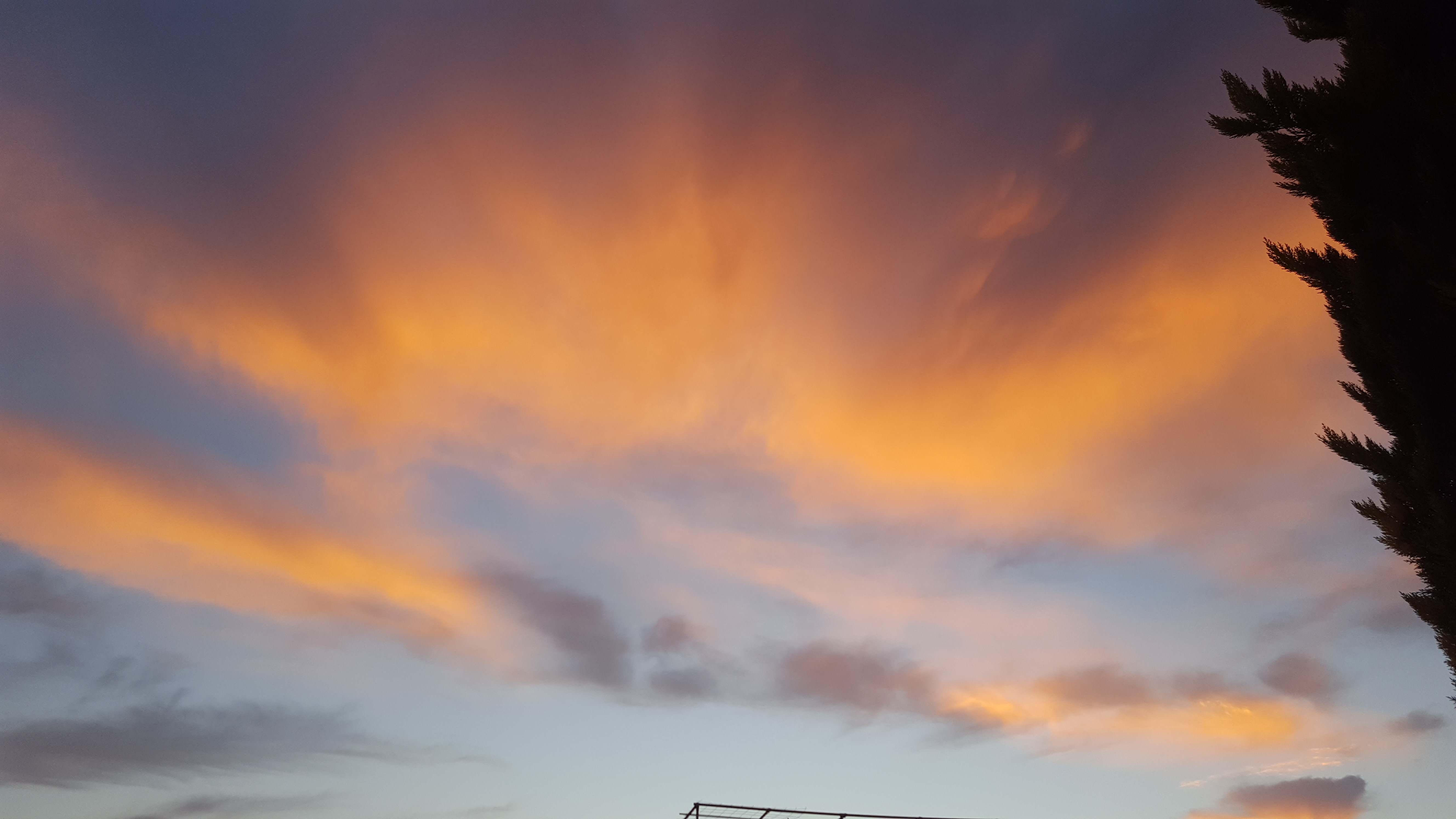 20161002_190626.jpg