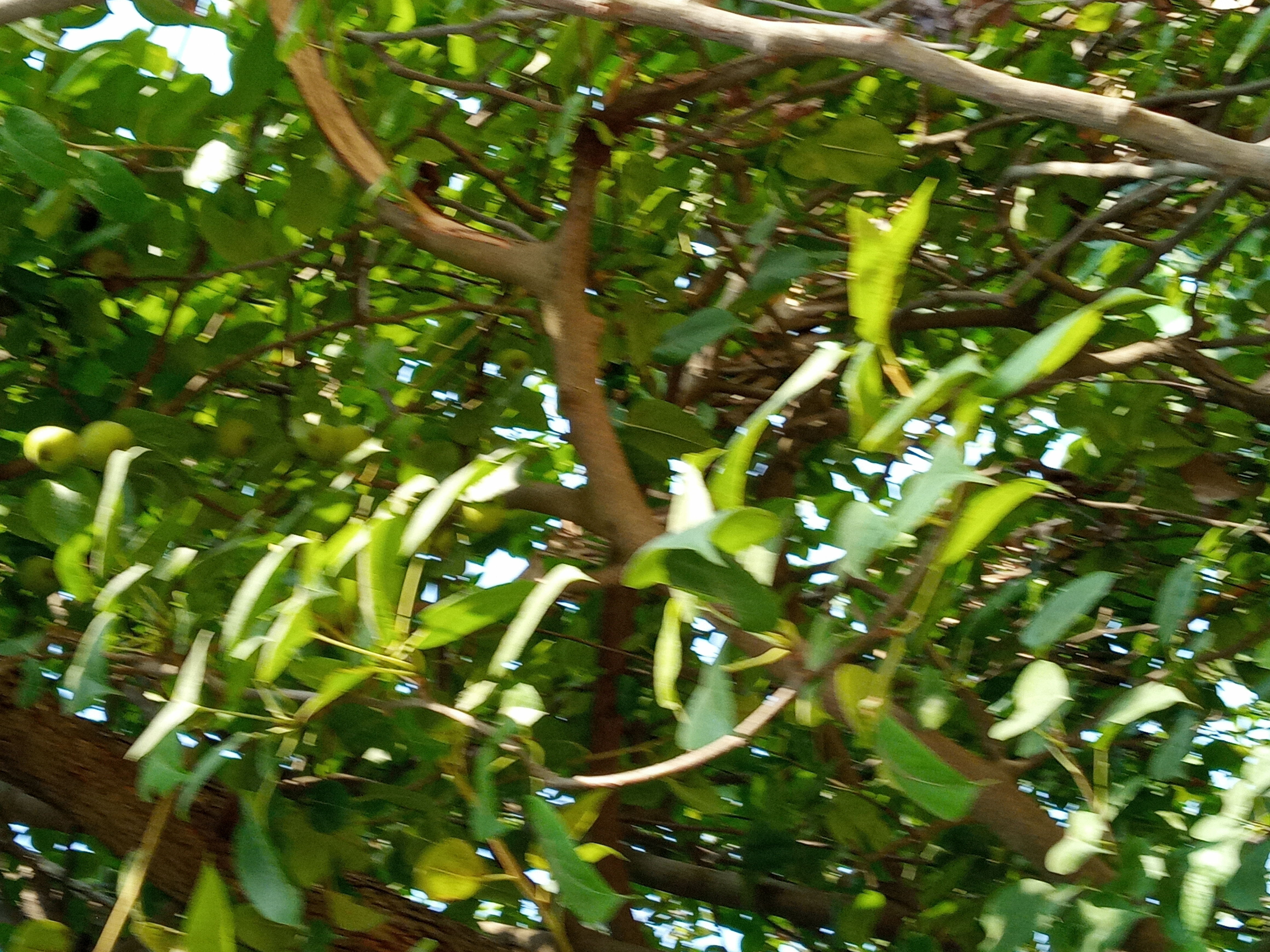 20210528_161509_HDR.jpg