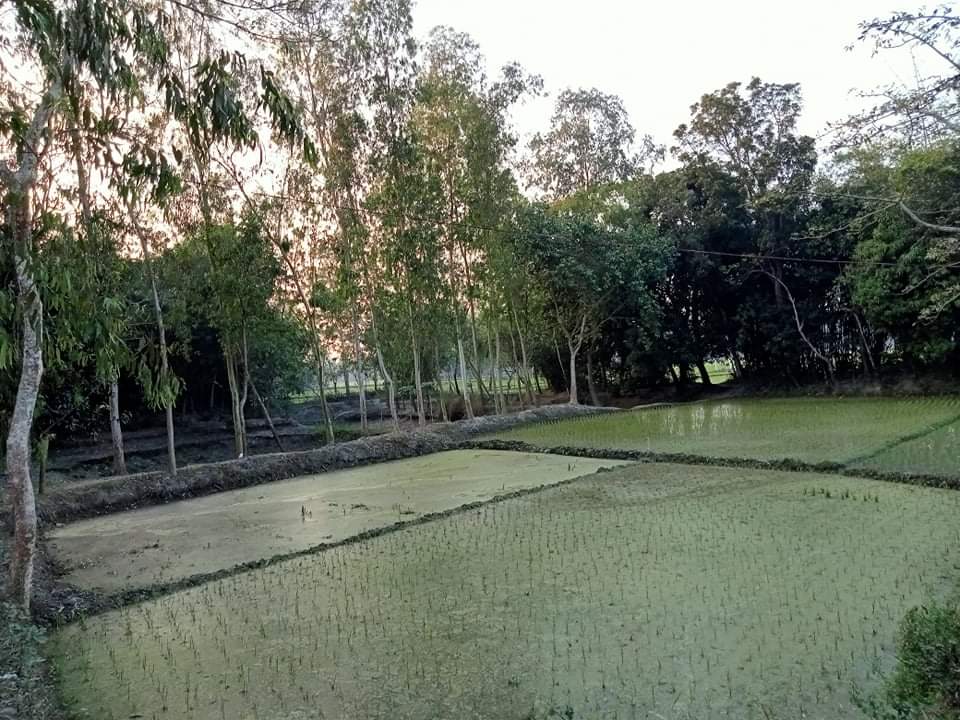 received_489249592908469.jpeg