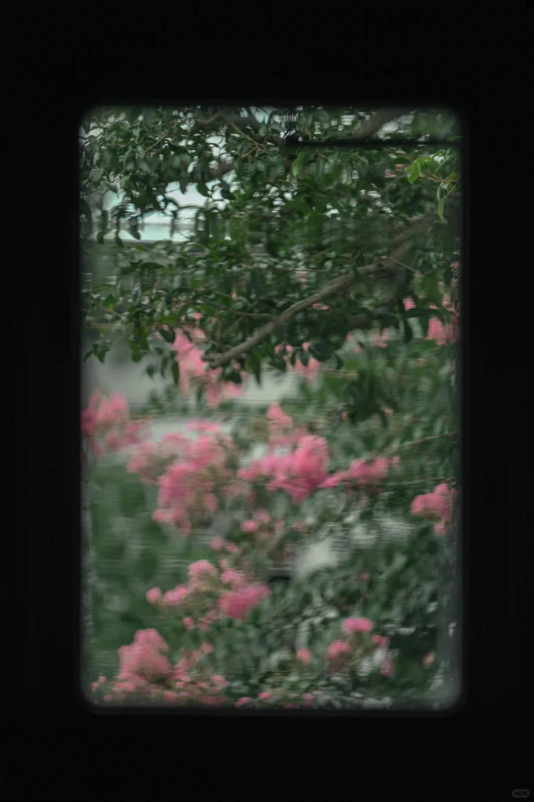 85.webp