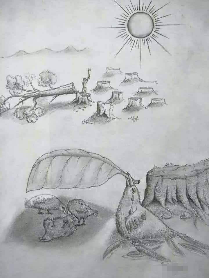 34302698_2040983099276278_2603744895801753600_n.jpg