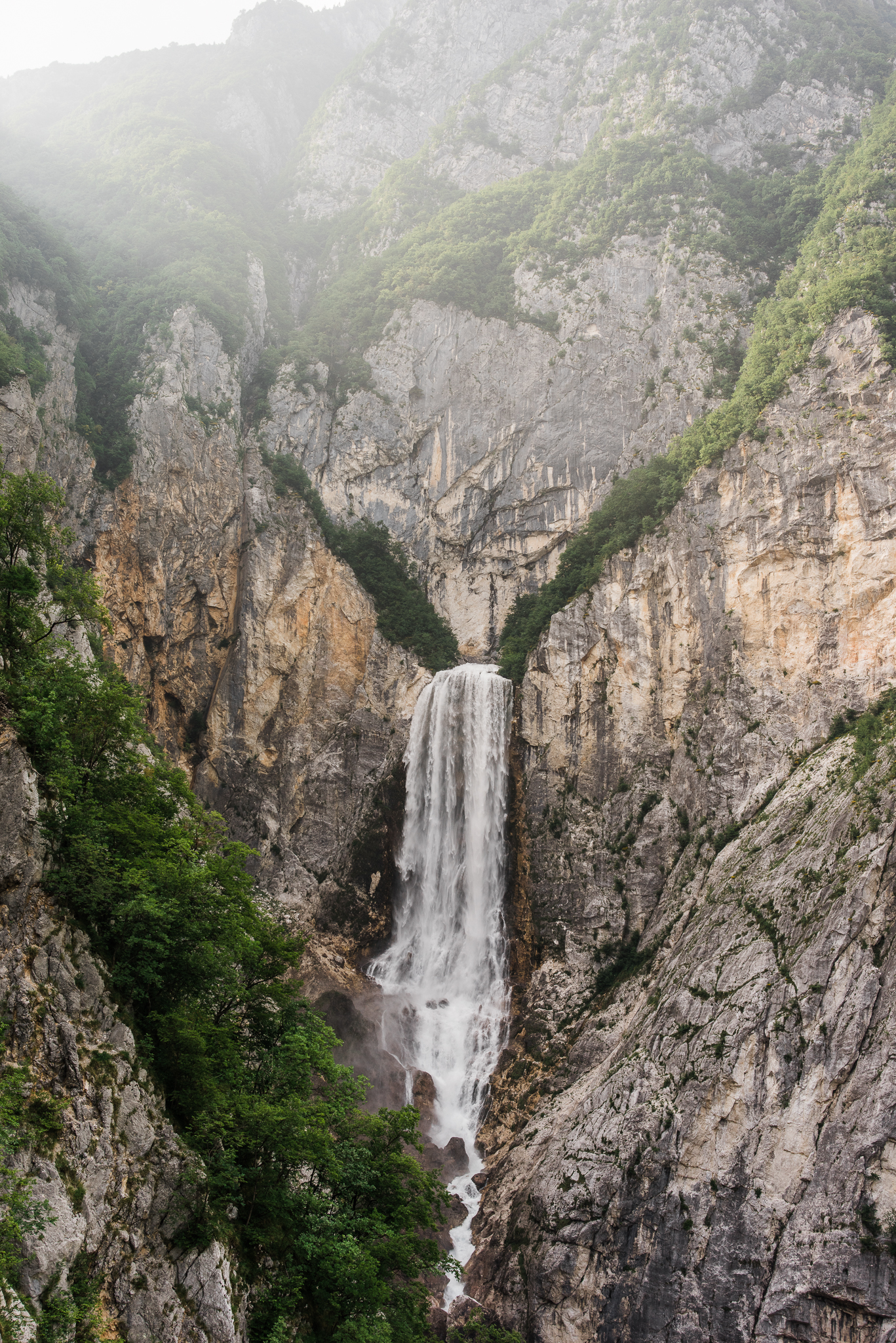 pf- (59 of 65).jpg