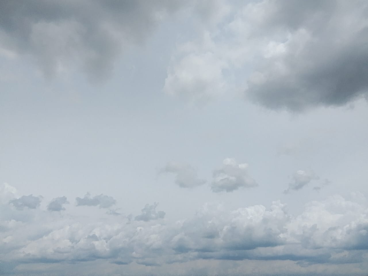 1000216395.jpg