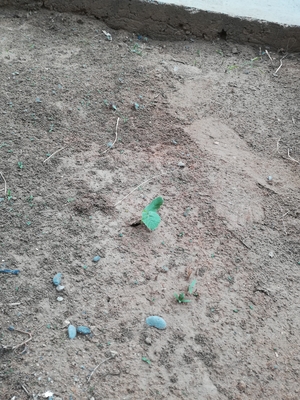 Webp.net-resizeimage (5).jpg