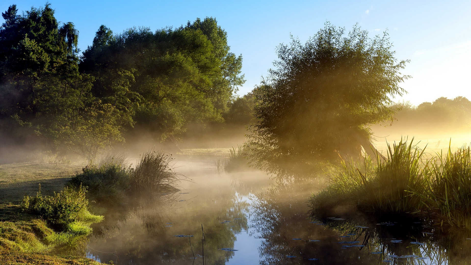《飞鸟与夏花》每天一首自译飞鸟集（295-296/325） - Translate a poem from Stray Birds every day