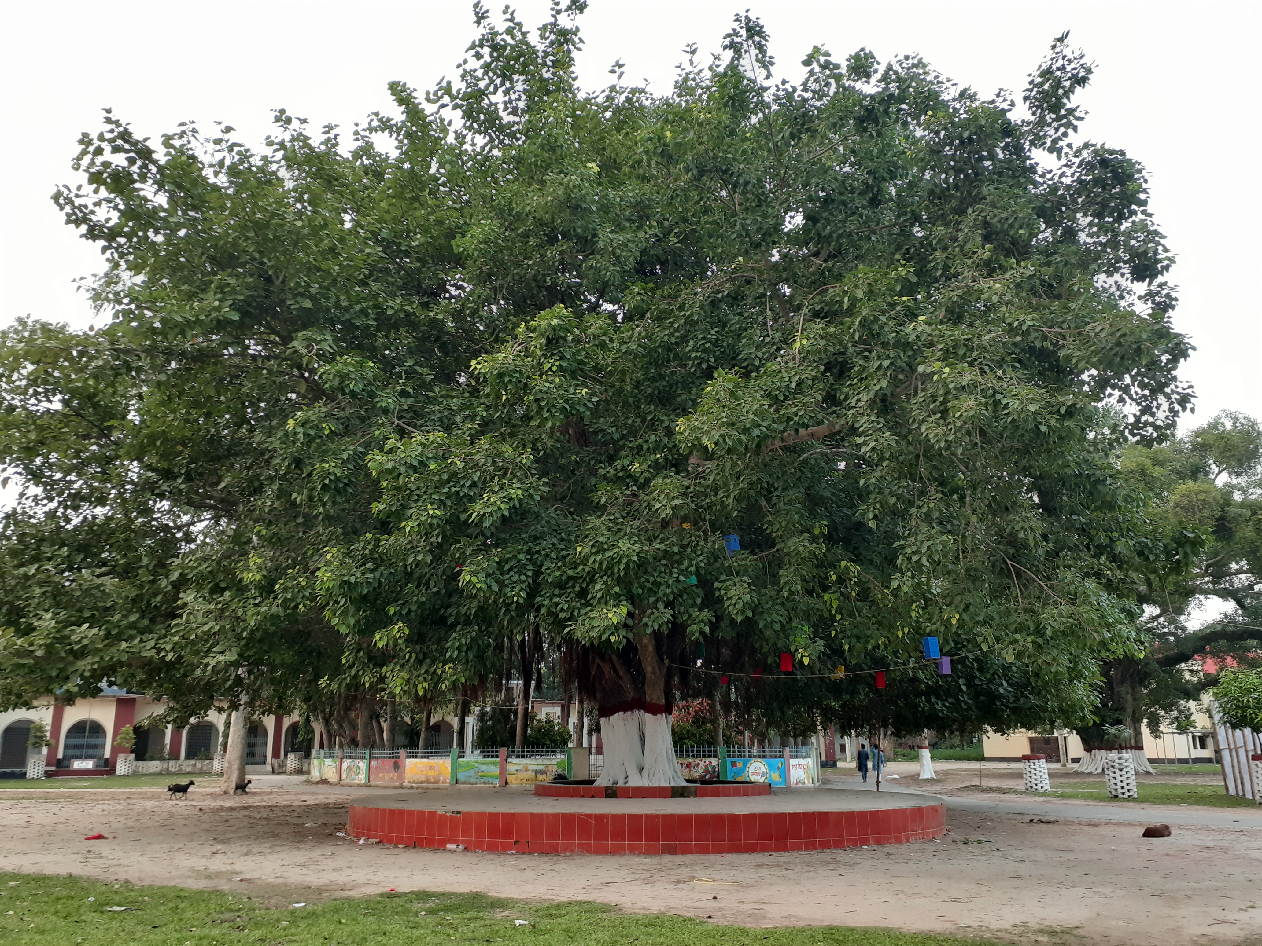 20190605_182906.jpg