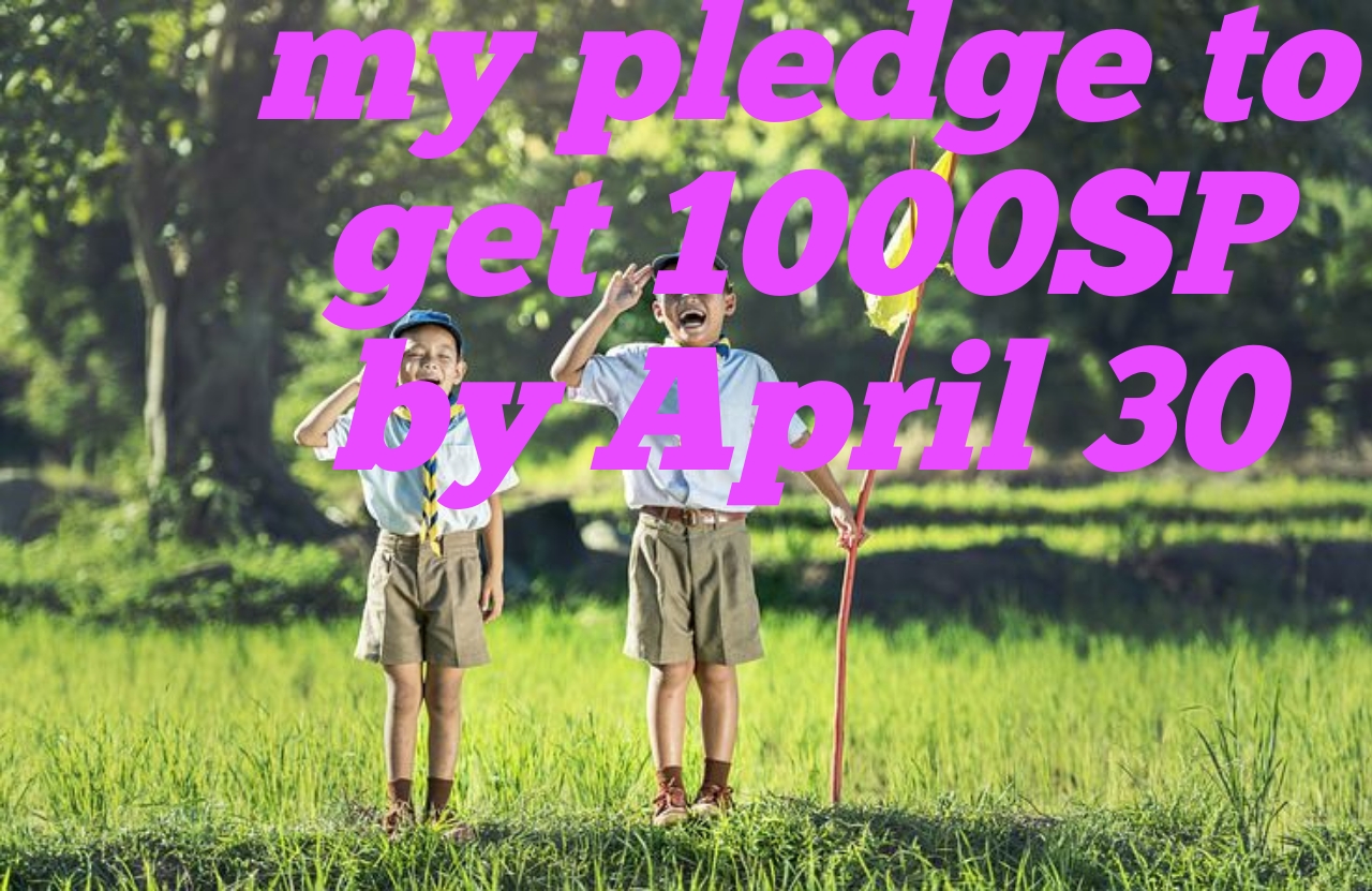 20220331_231336.jpg