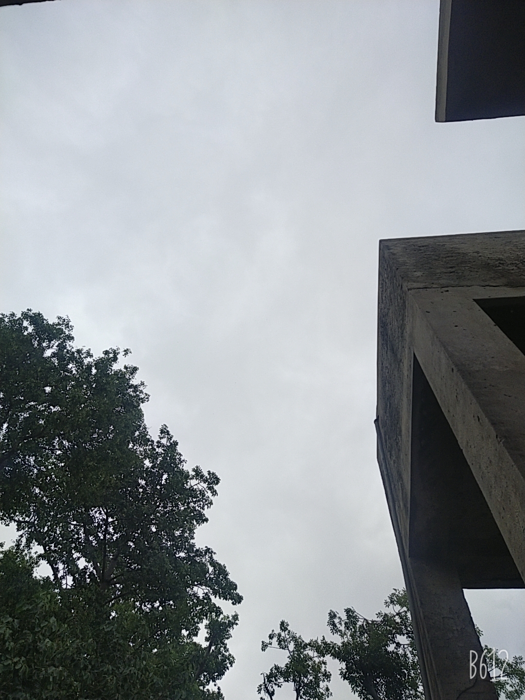 B612_20210615_110207_839.jpg