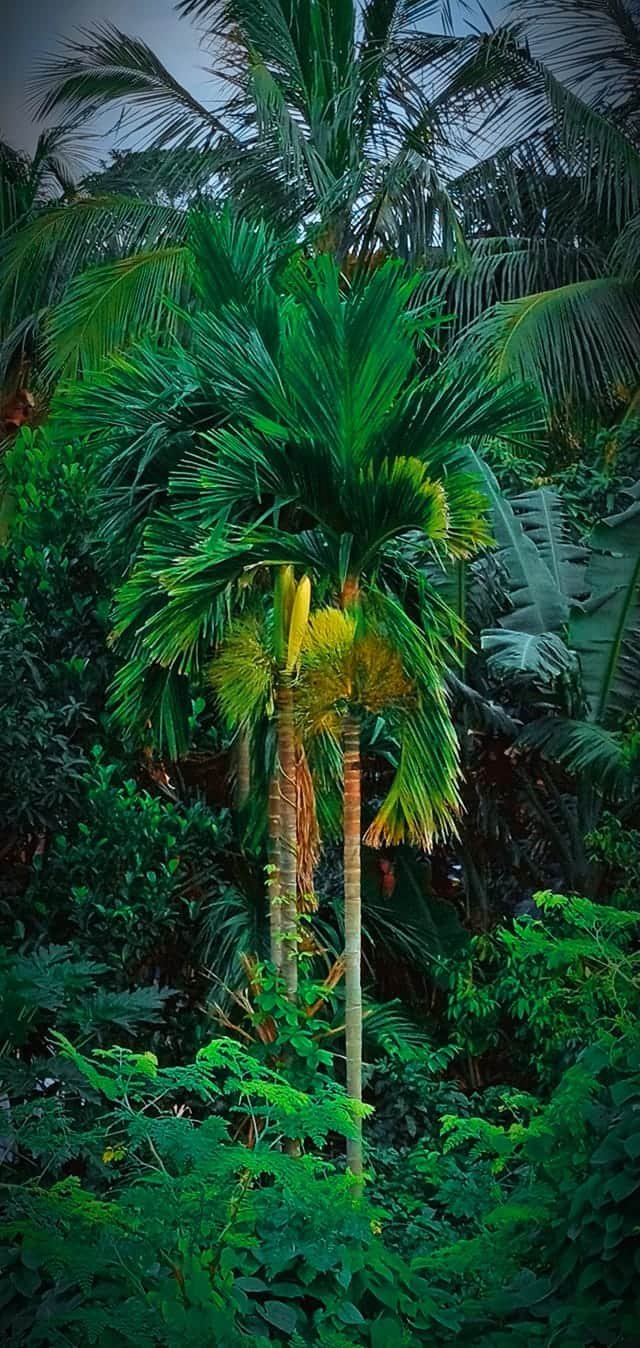 PB8ro82ZpZP2DJYqWdv8qwdFPnFdSQrixPMNvTU9D4q8UVKknKMnCKdFJNvaDzBZffC8nyYic2Etmwm7TaK6ZZTrCVKF4zr3cYkybJGFzbid3aog.jpeg