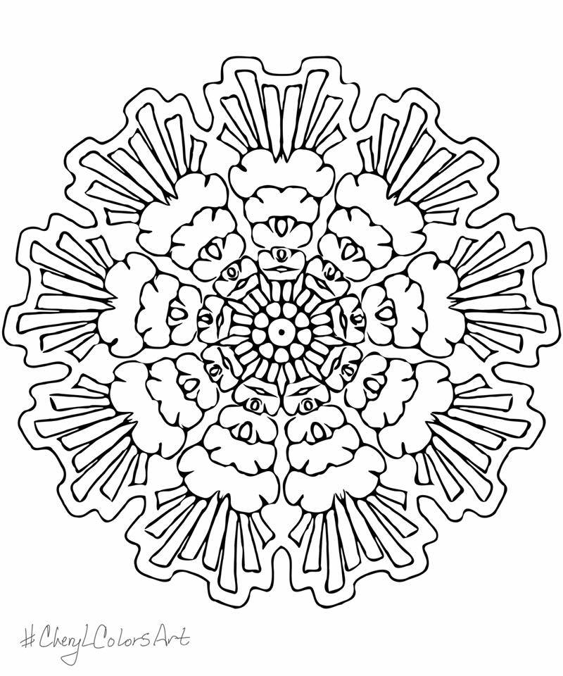 60846170_455528365204582_280379090035277824_n.jpg