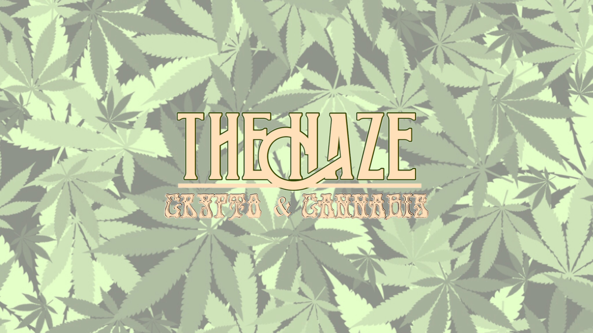 The Haze CC's cover