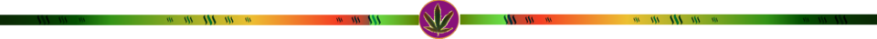 QmZoGBAdd9qeZj9yFmcSK59K57H6wrG6399cykTdMQrwtT.png