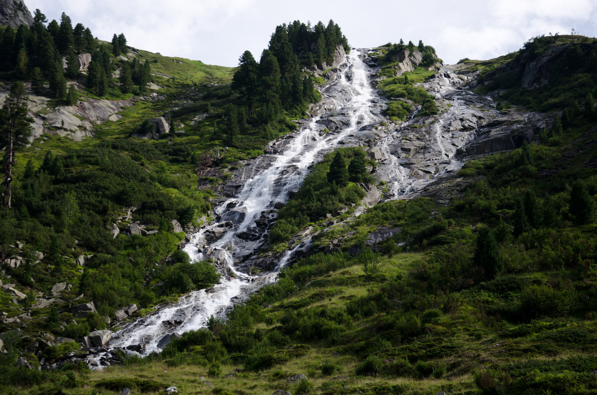 DSC_3724.jpg