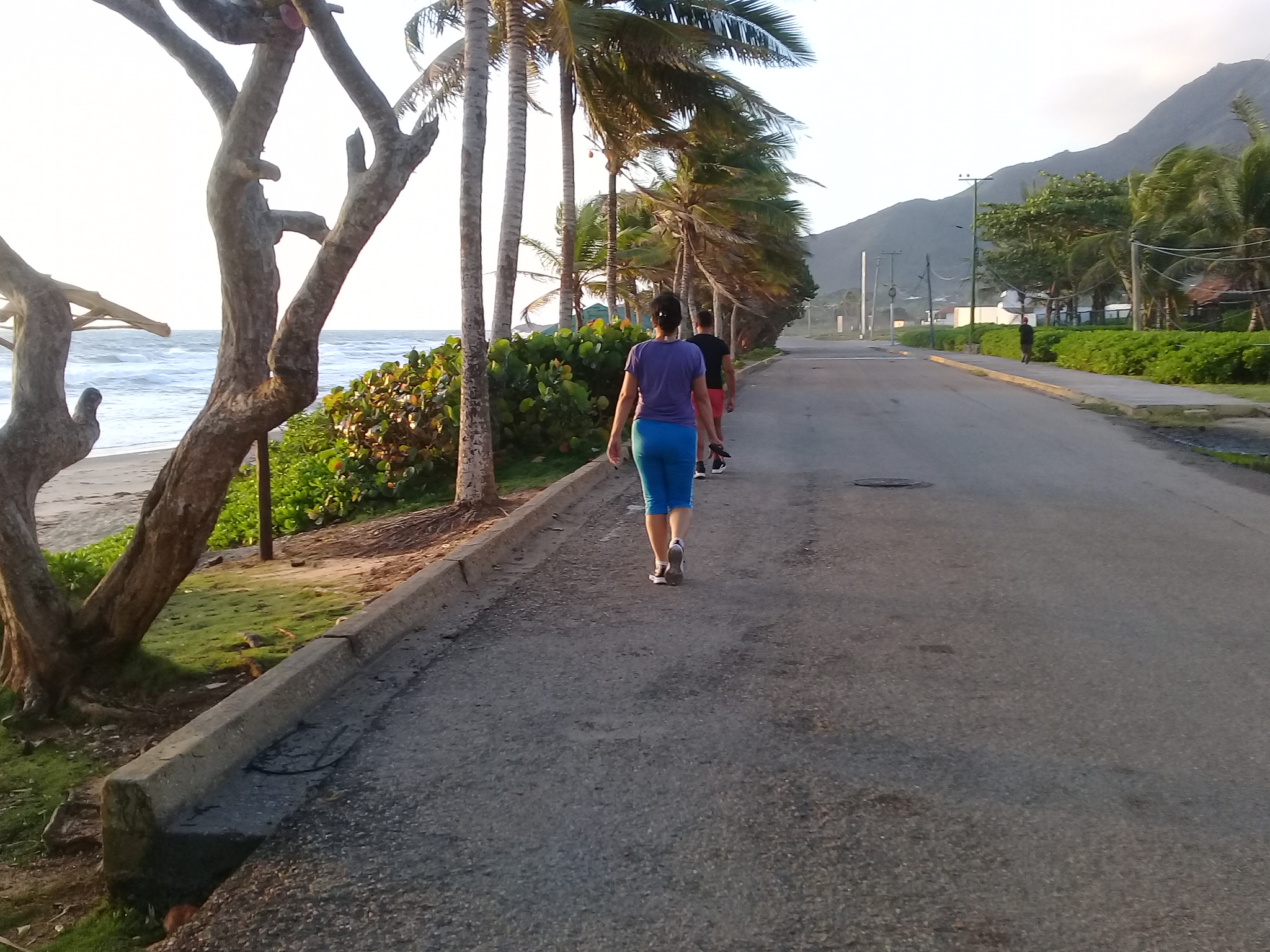 20220317_064451.jpg