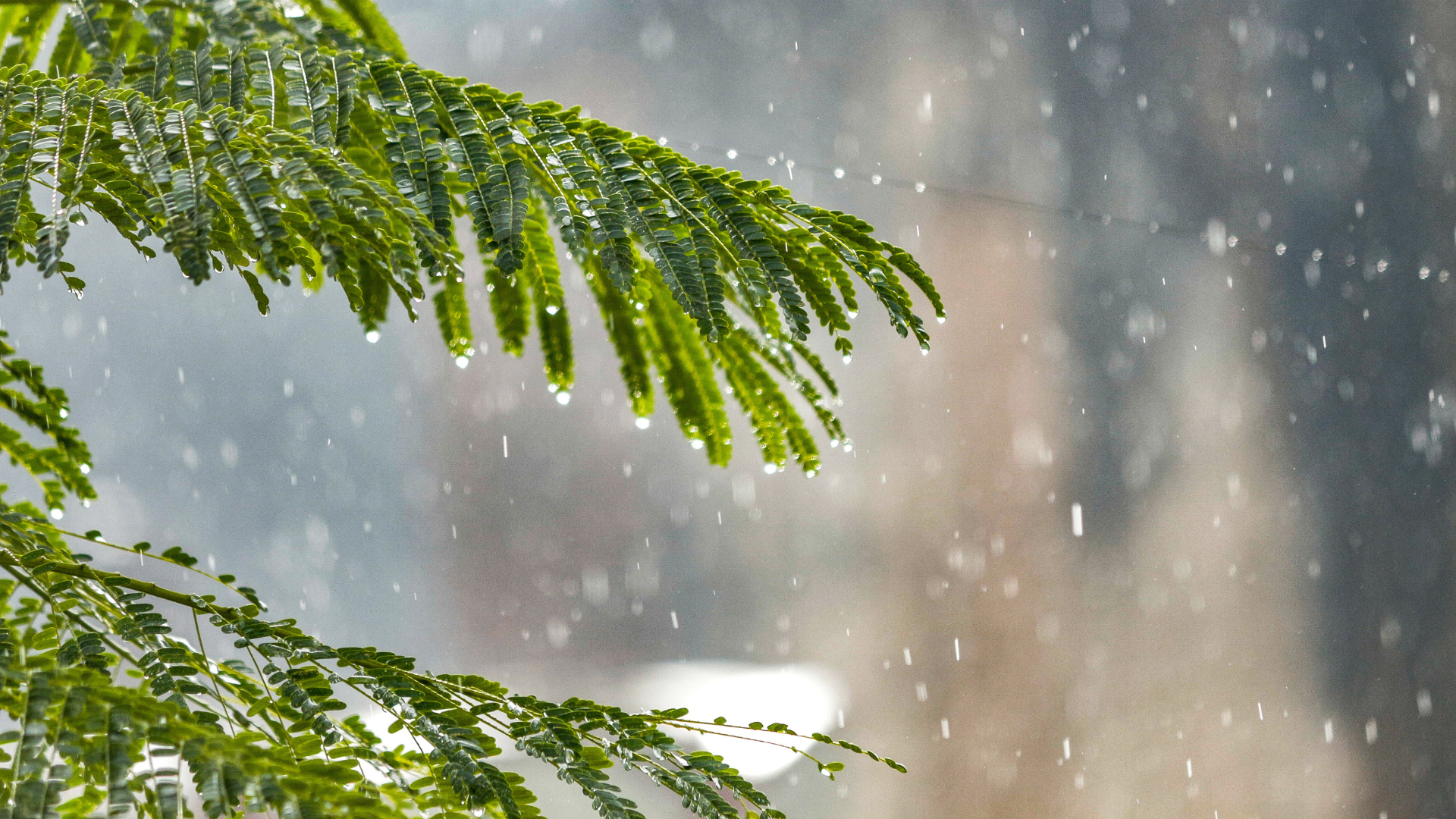 Green and White Modern April 2026 Calendar Desktop Wallpaper.png