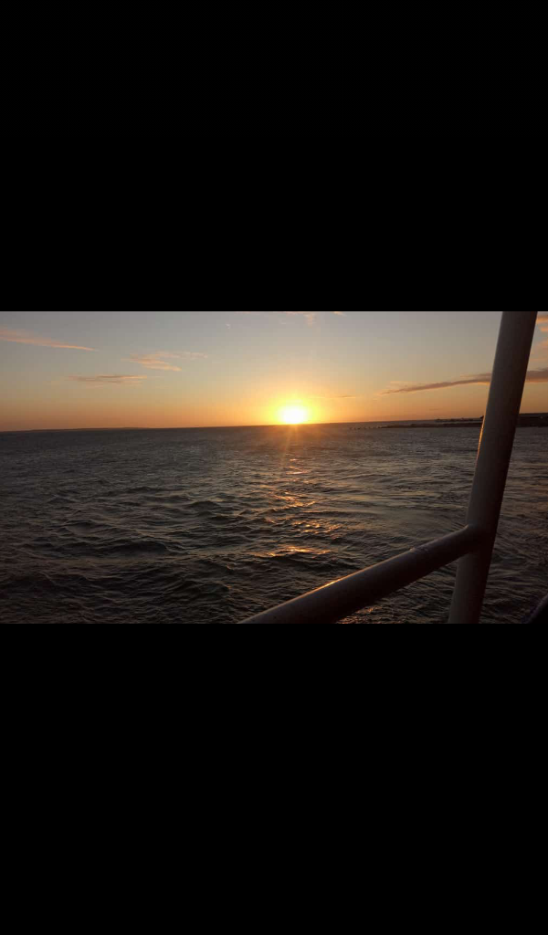 Screenshot_2021-02-10-20-29-45.png