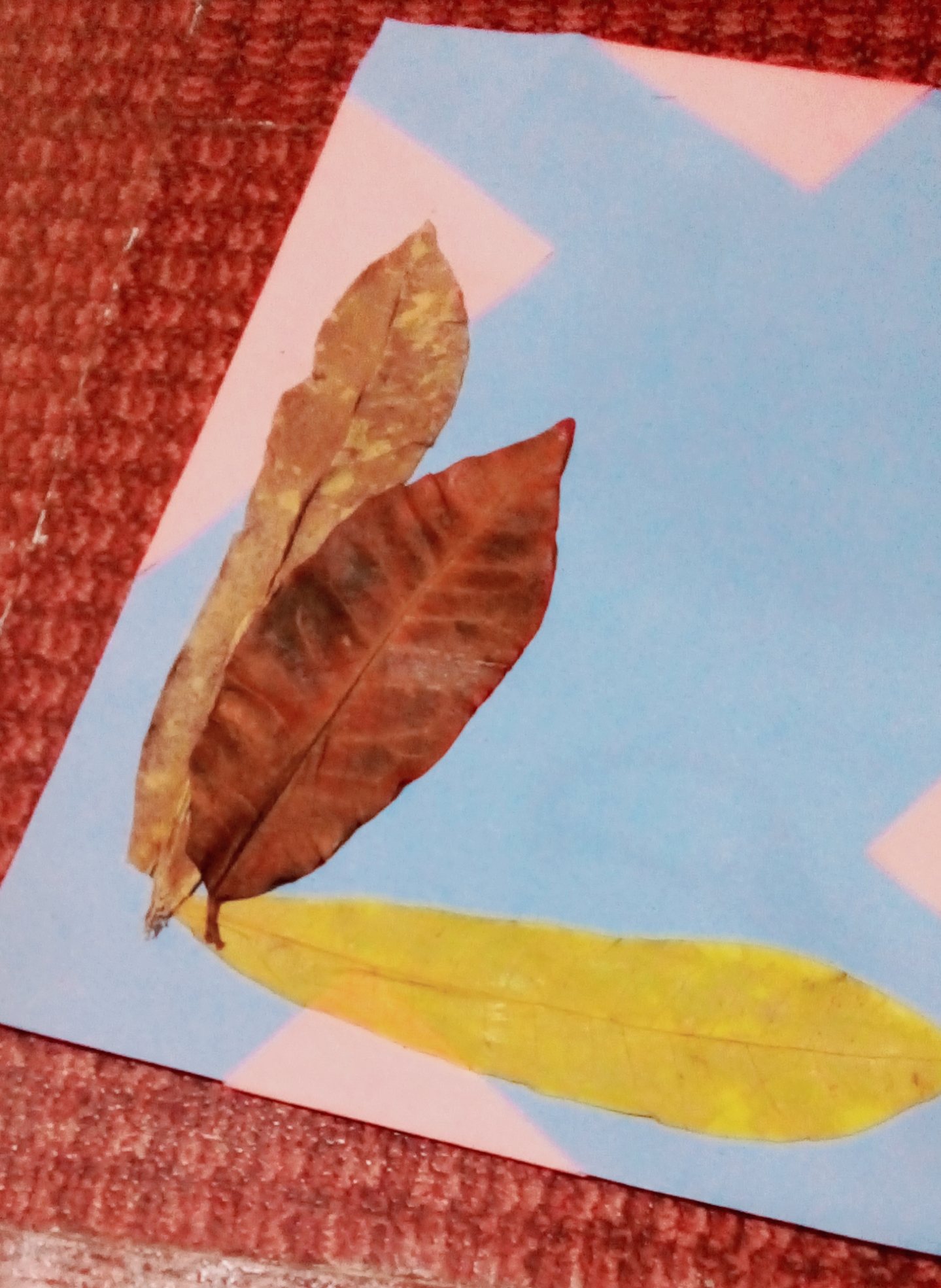 IMG_20210803_144755.jpg